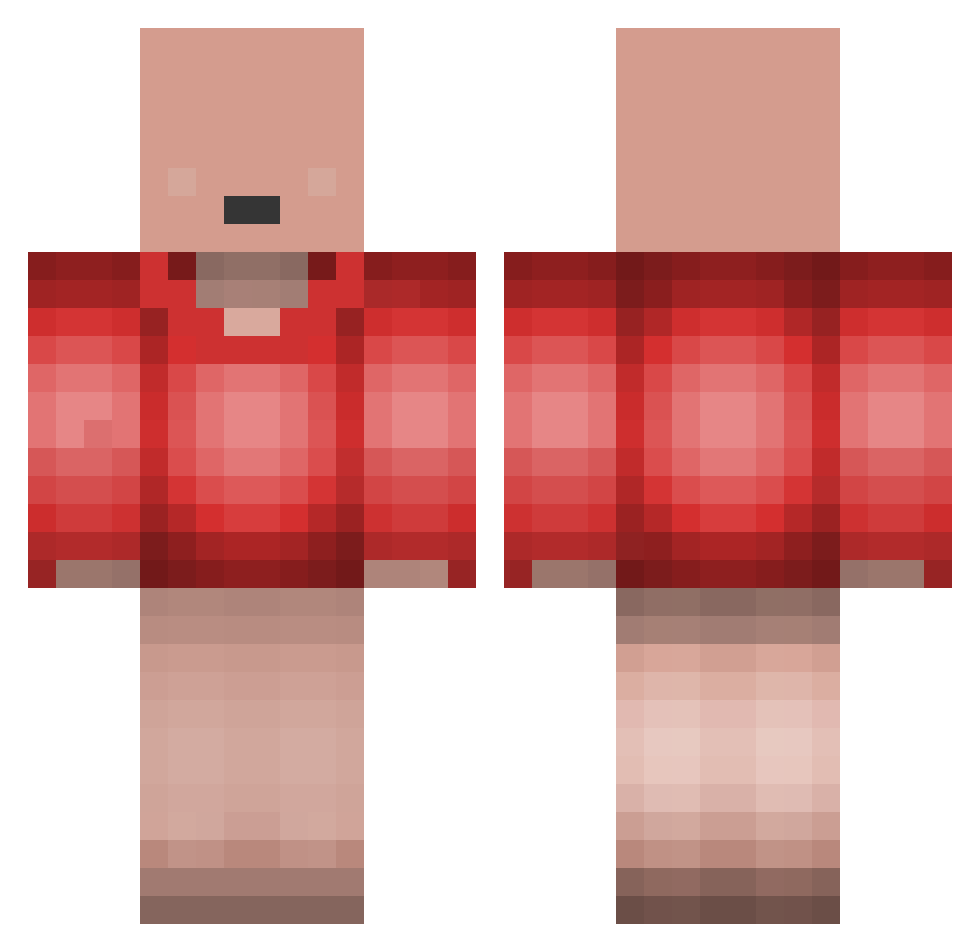 Salpau Minecraft skin, front and back view