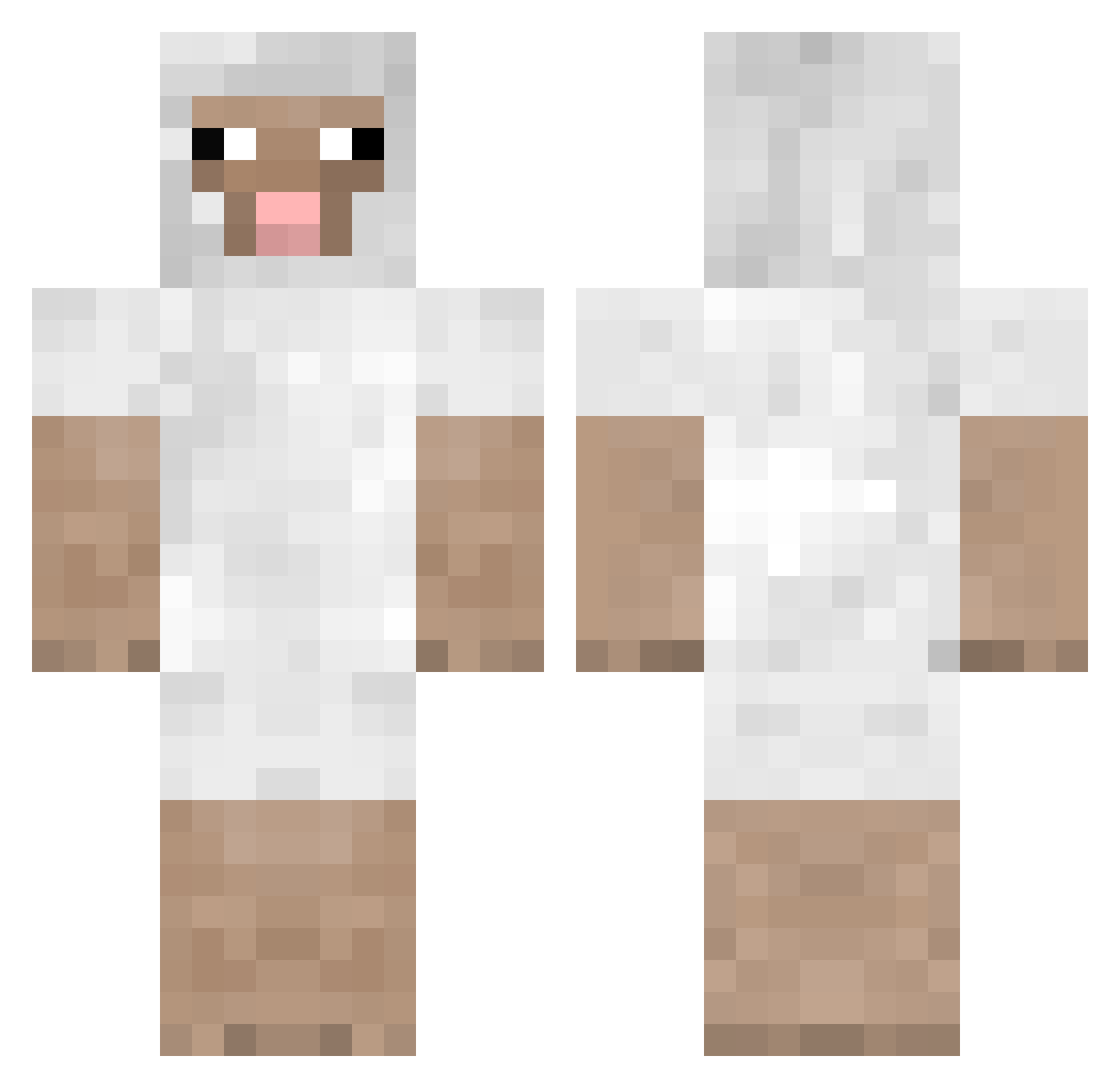 qenp Minecraft skin, front and back view