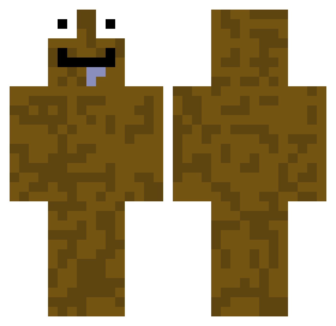 Nulachier_ Minecraft skin, front and back view