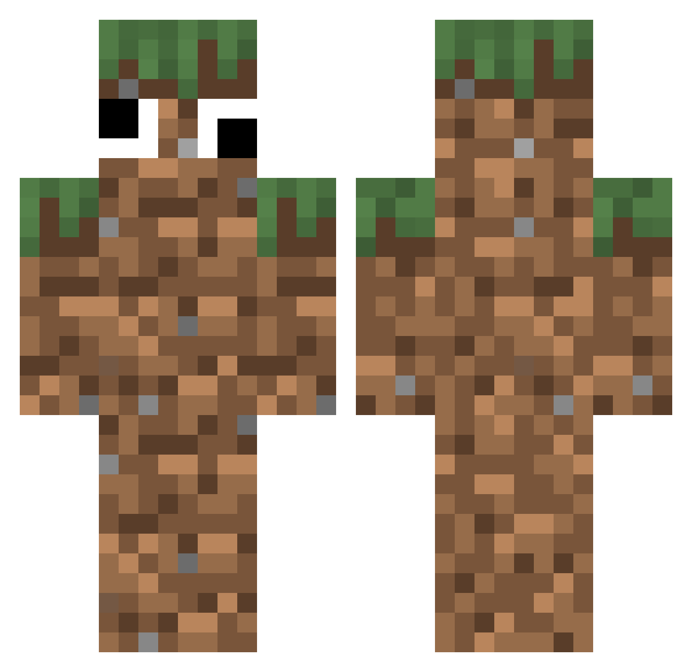 TOTALLYNOTRAT1O Minecraft skin, front and back view
