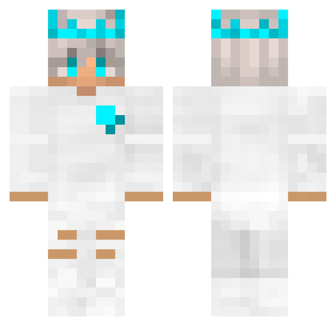 Topisco Minecraft skin, front and back view