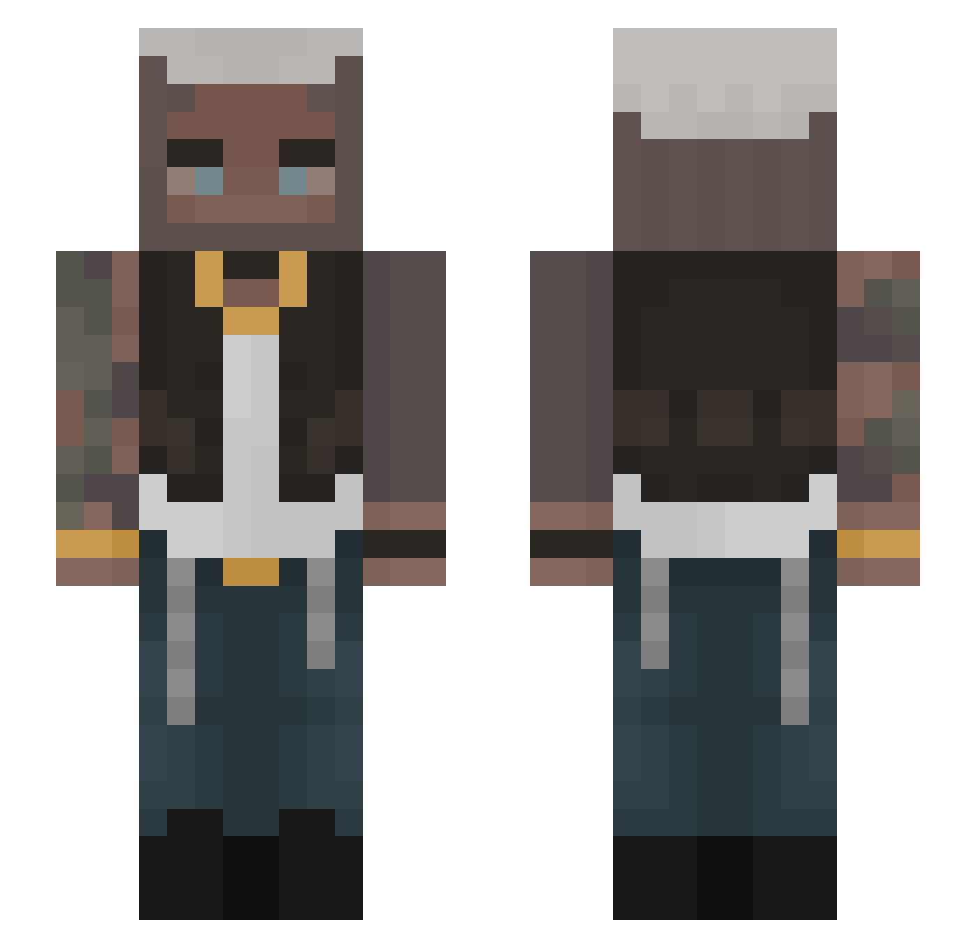 Vixyl_ Minecraft skin, front and back view