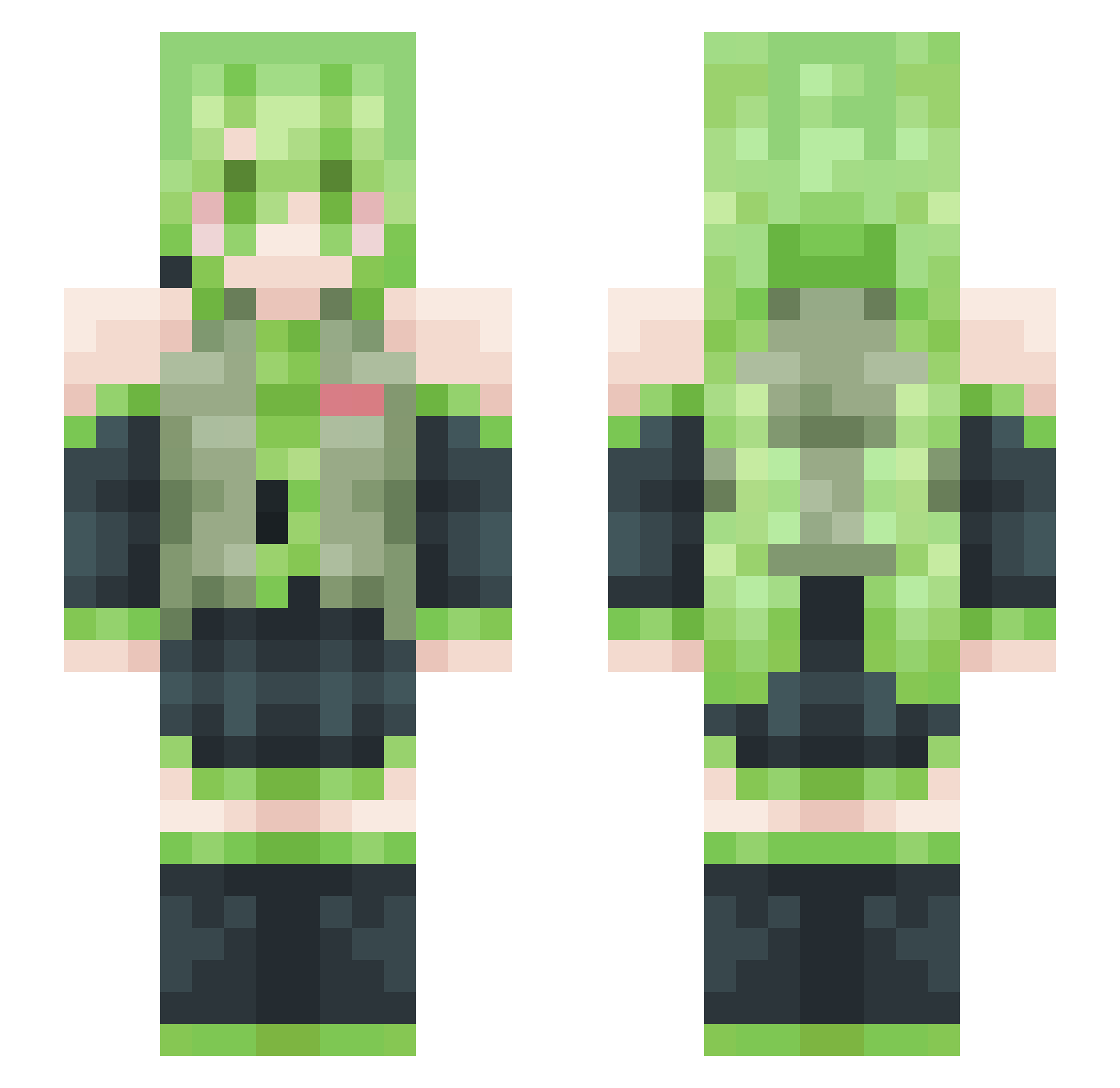Signity1 Minecraft skin, front and back view