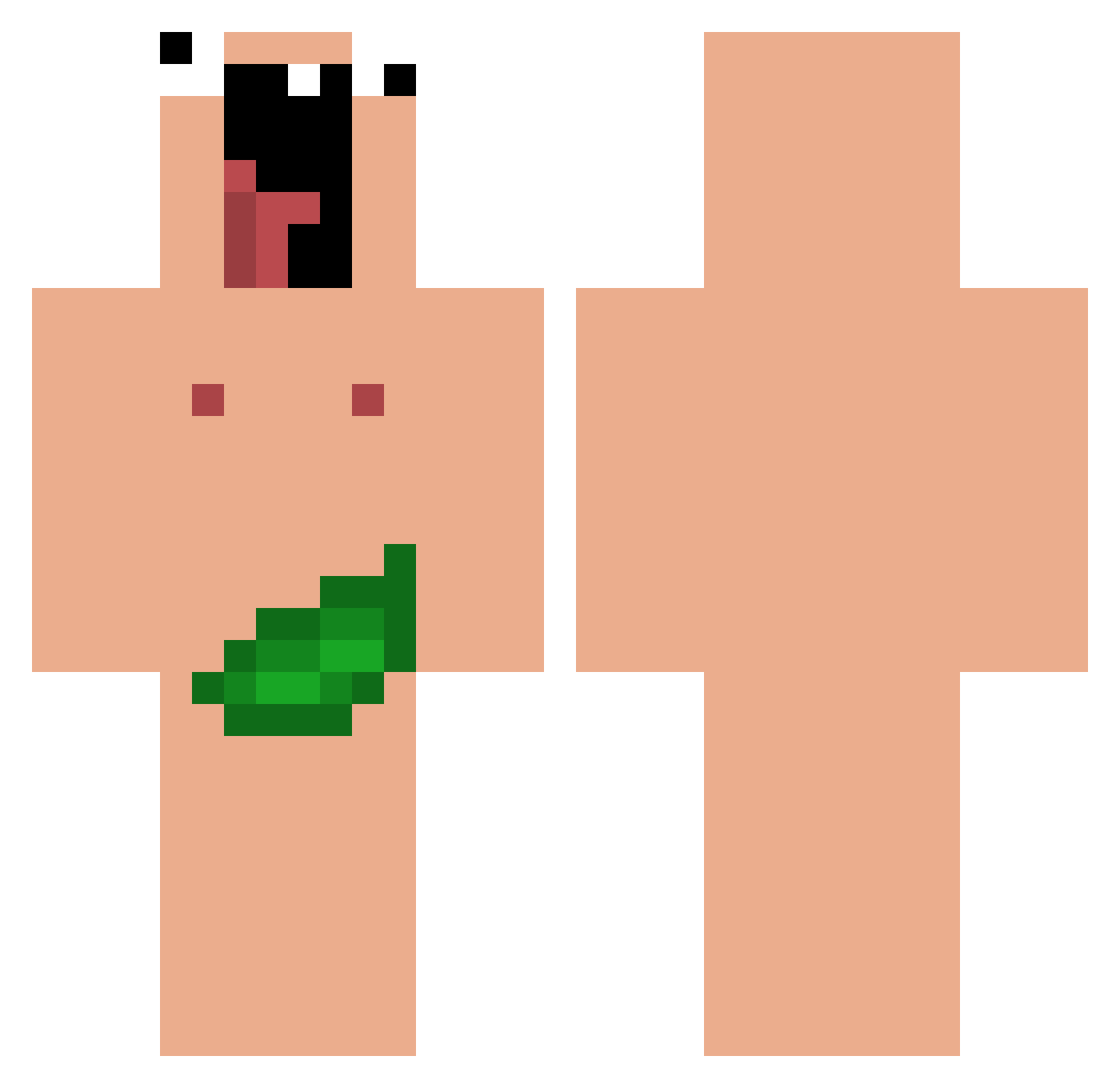 Pomm2Terr Minecraft skin, front and back view