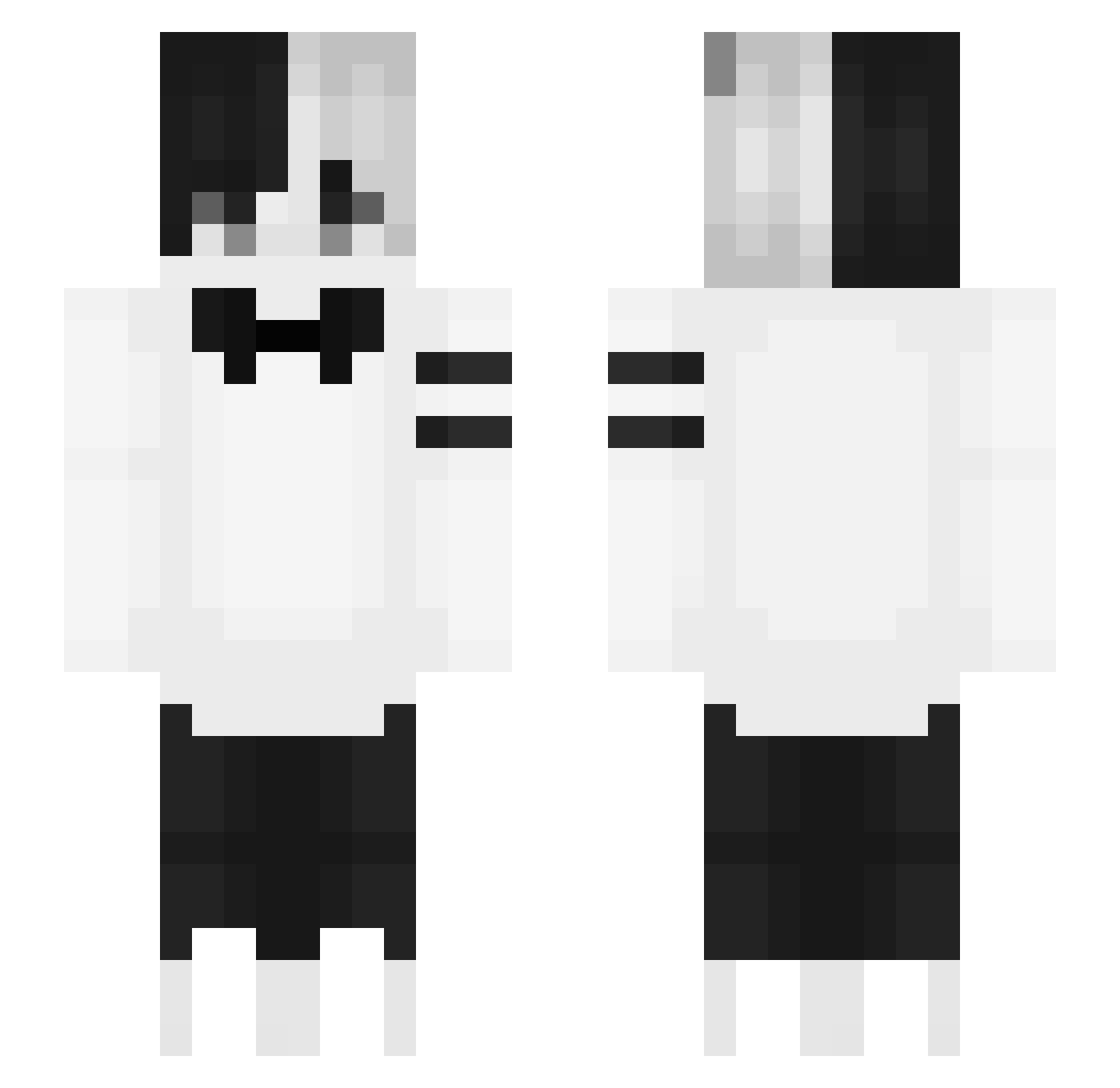 zebra28913214561 Minecraft skin, front and back view
