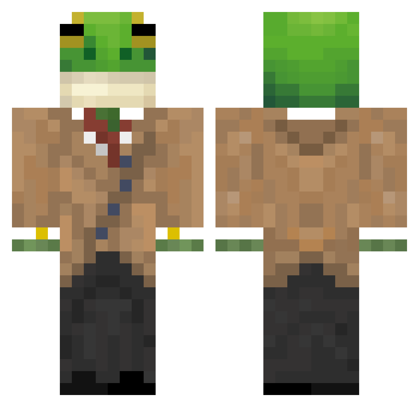 seenseee Minecraft skin, front and back view