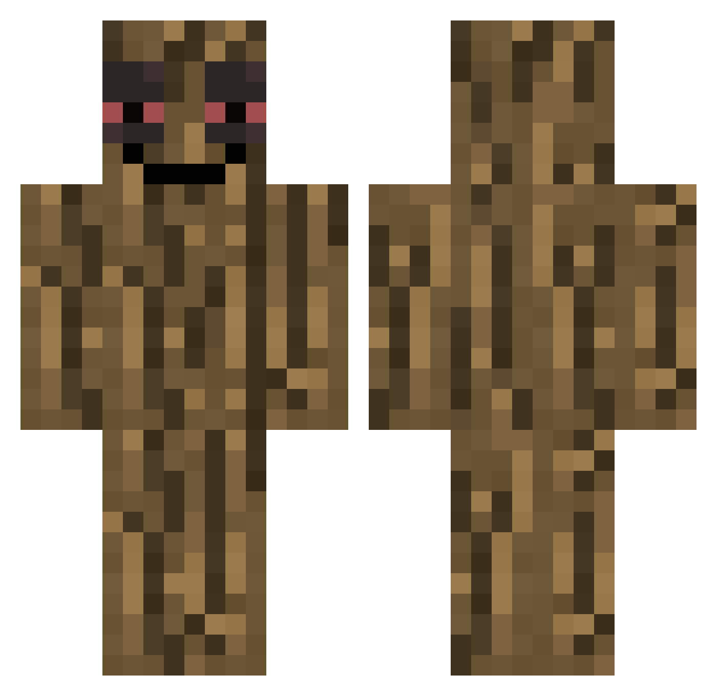Ole55 Minecraft skin, front and back view