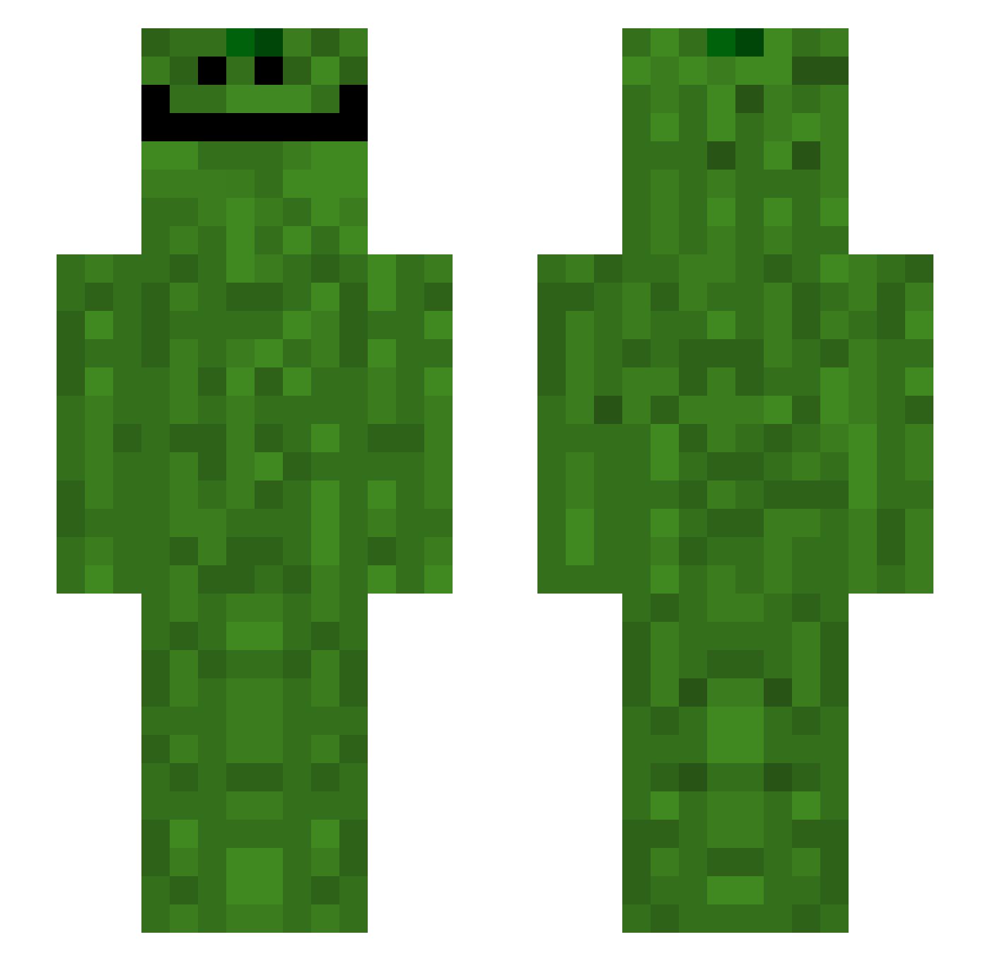 Flasche2021 Minecraft skin, front and back view