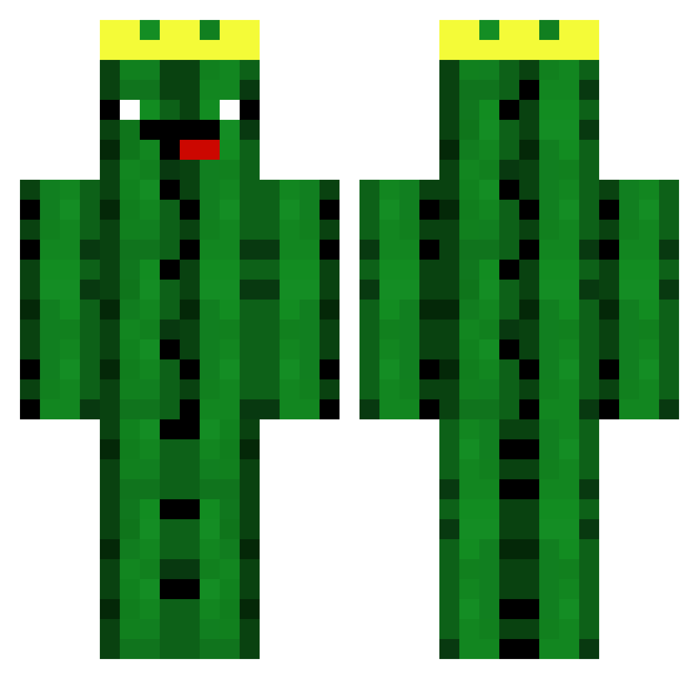 tipakaktys Minecraft skin, front and back view