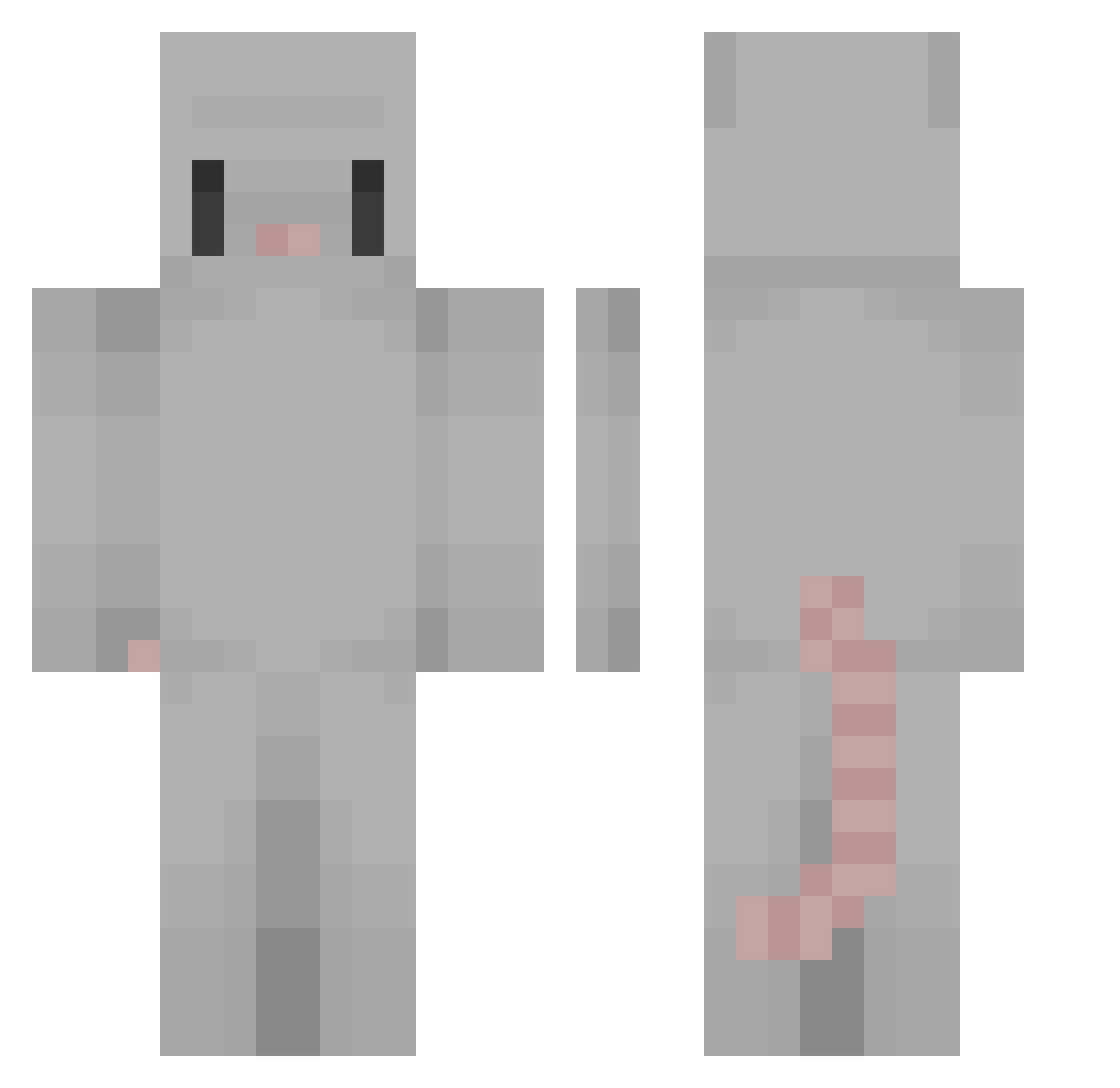 trn5889kk Minecraft skin, front and back view
