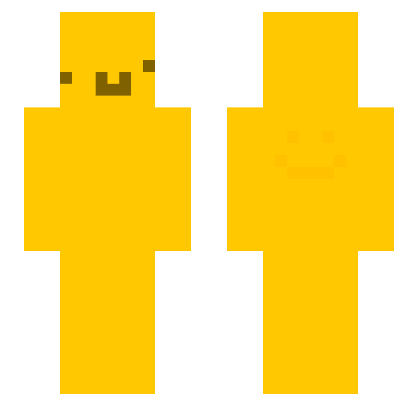 matejkloucek670 Minecraft skin, front and back view