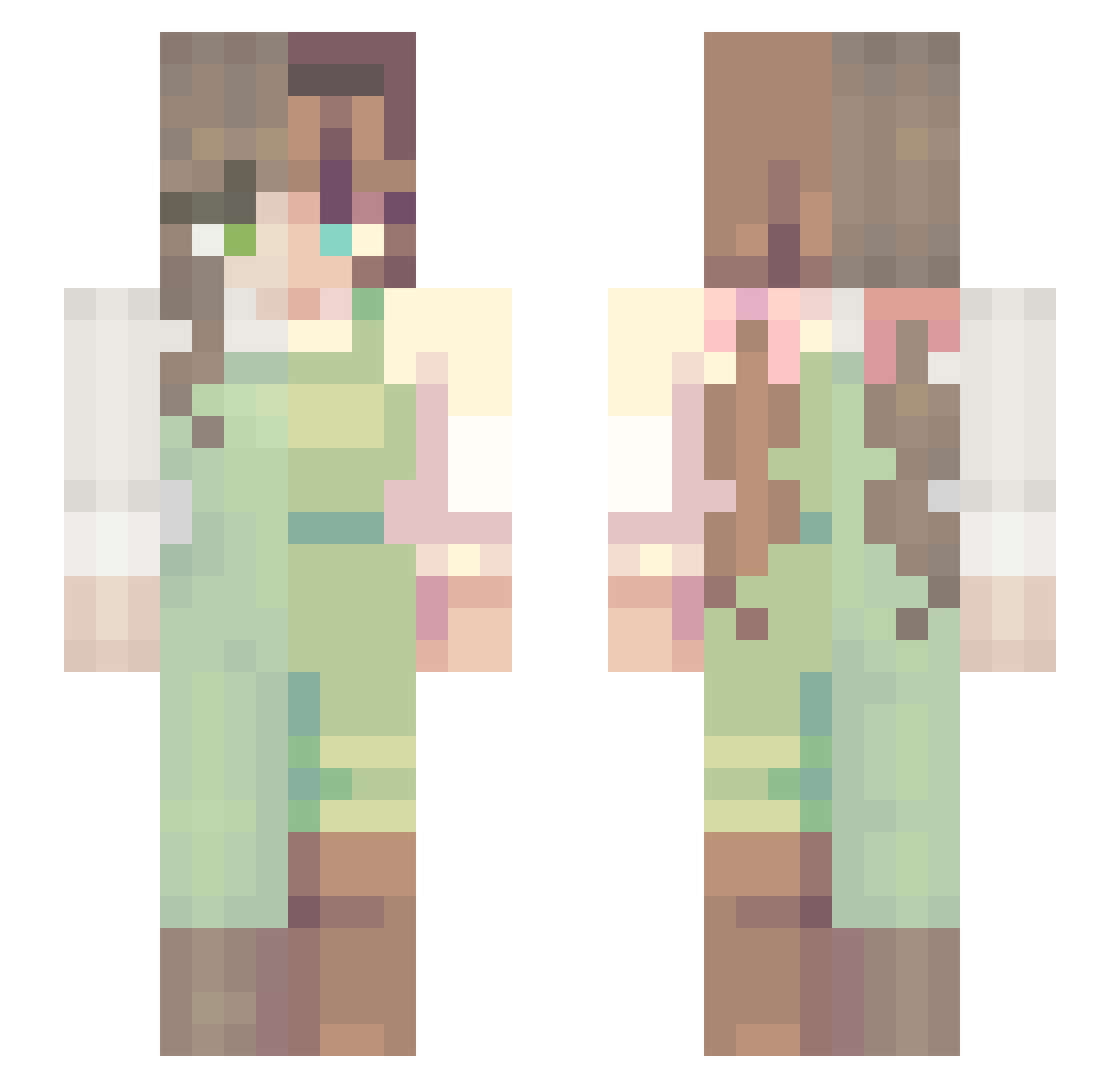 Curiosity191 Minecraft skin, front and back view