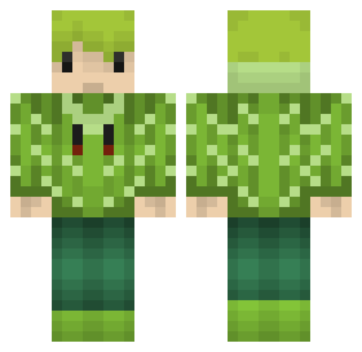 Gobbled Minecraft skin, front and back view