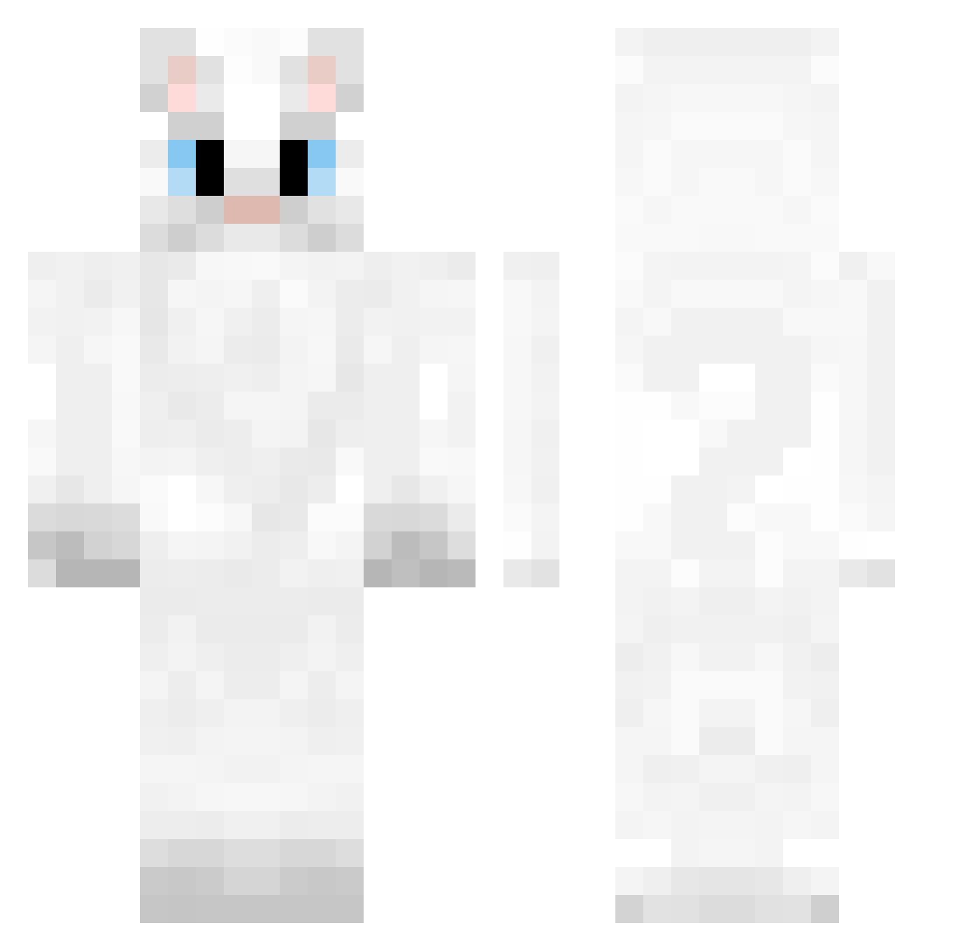 852jt Minecraft skin, front and back view