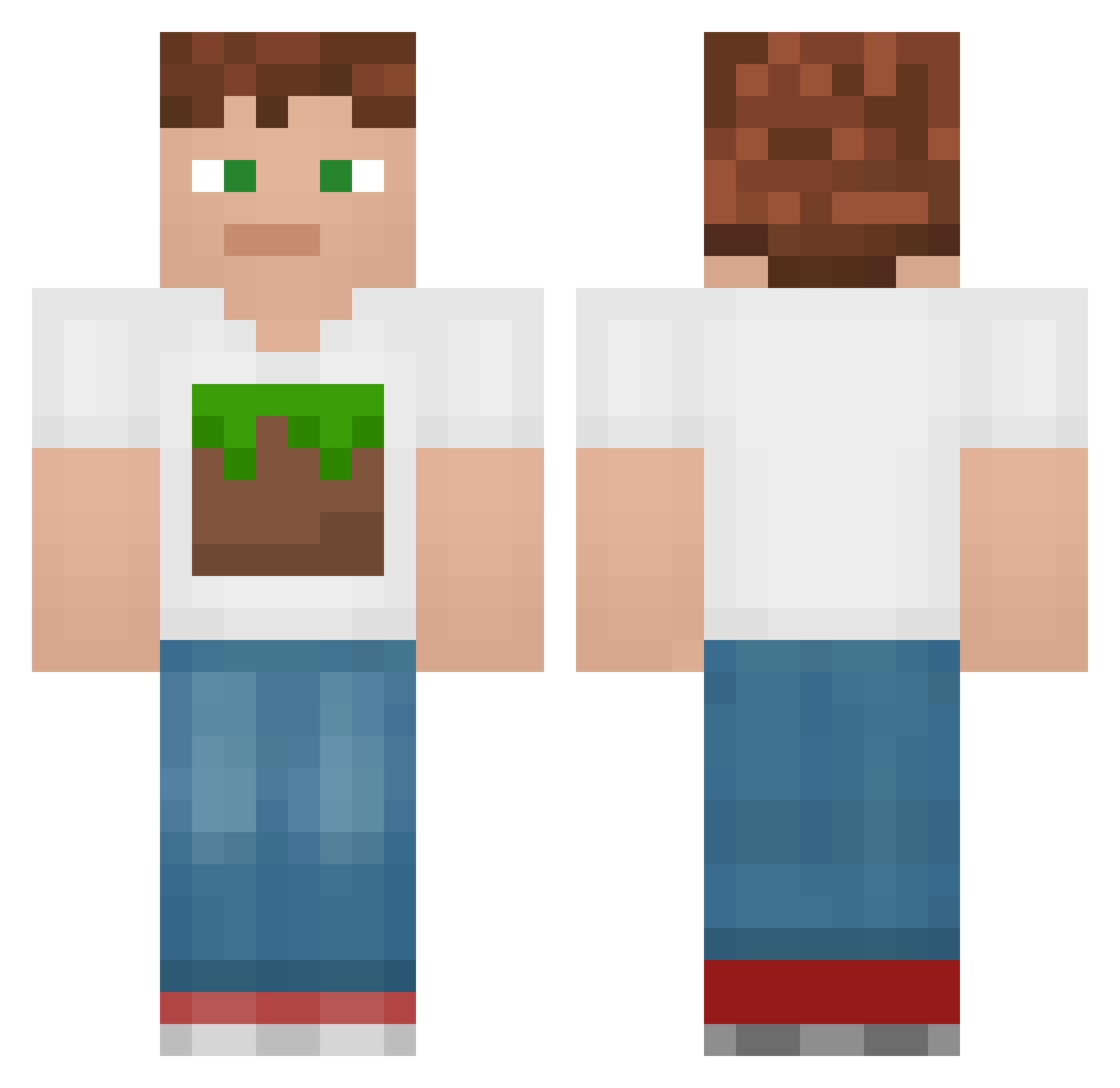 Sevest Minecraft skin, front and back view