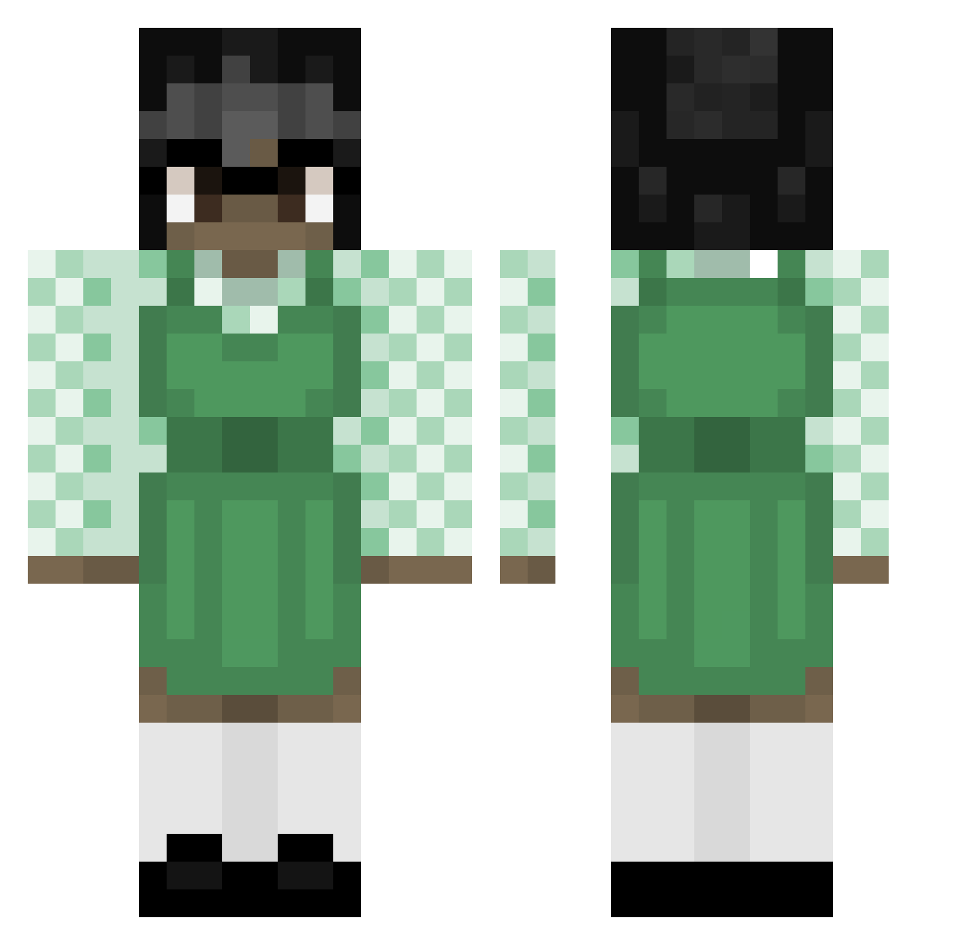 RosaParkinssons Minecraft skin, front and back view