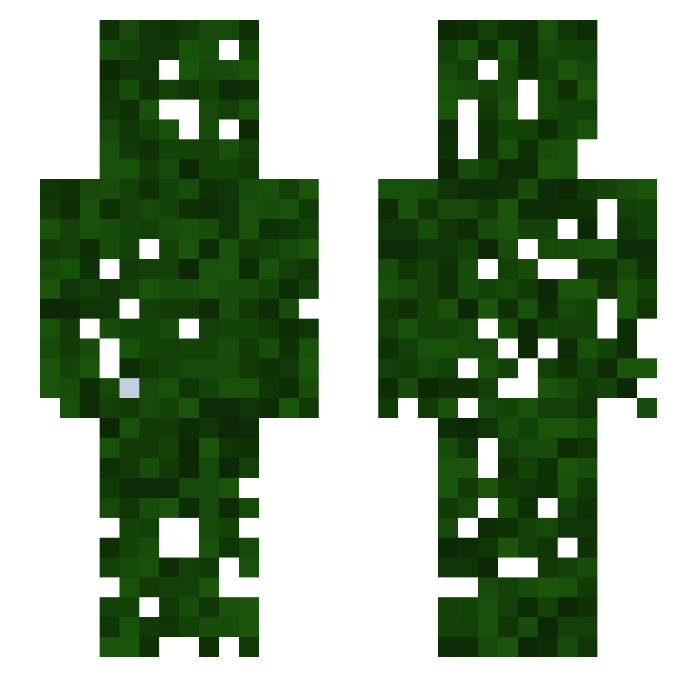 W1lli4mcr4ft Minecraft skin, front and back view