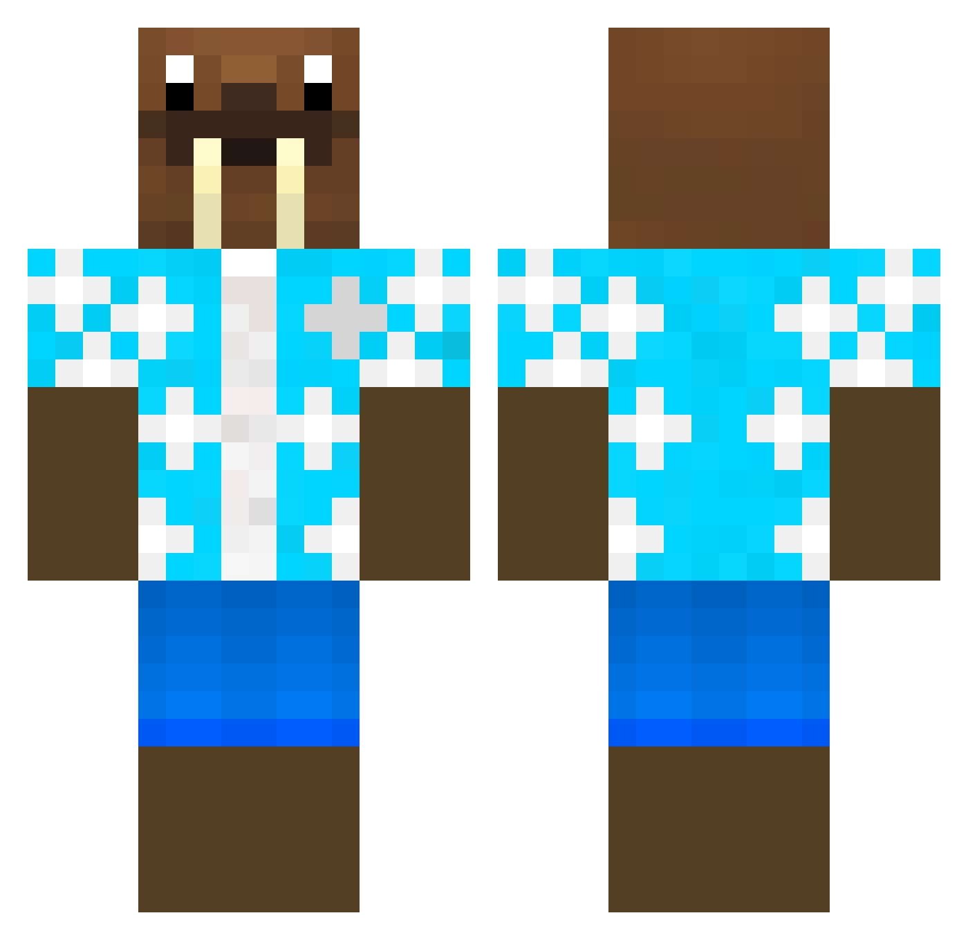 NitroWalrusMC Minecraft skin, front and back view