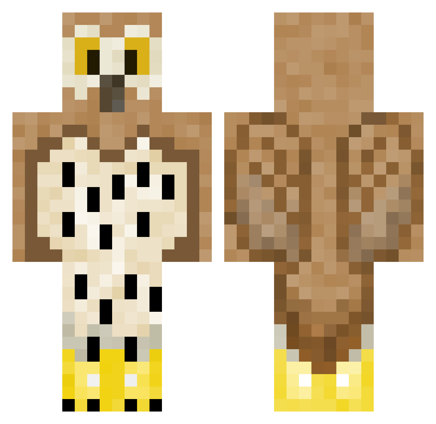 Night_Owl20 Minecraft skin, front and back view