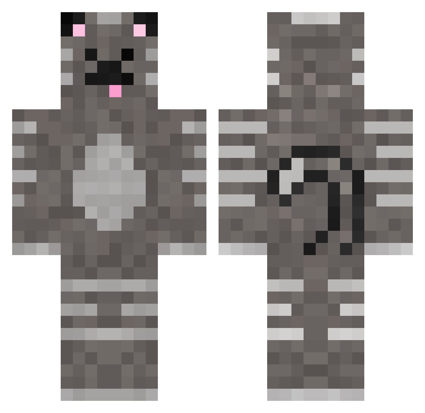 swaggyshrimp Minecraft skin, front and back view