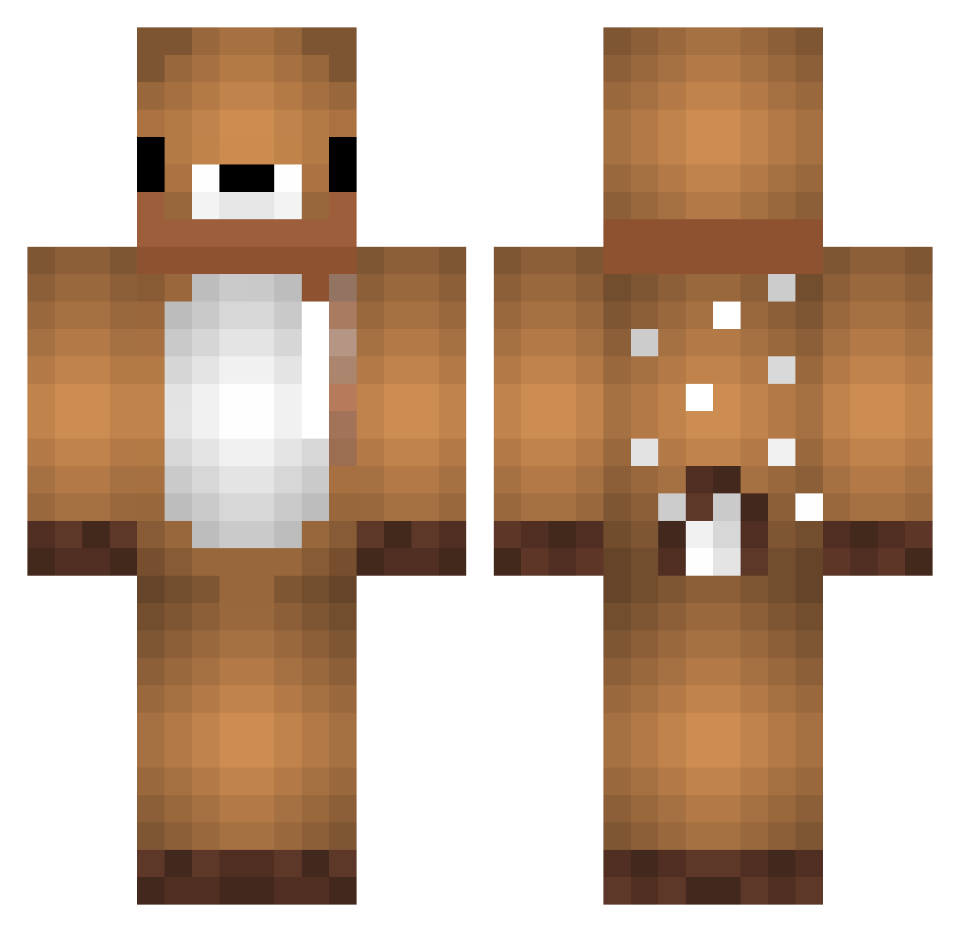 Zemoose Minecraft skin, front and back view