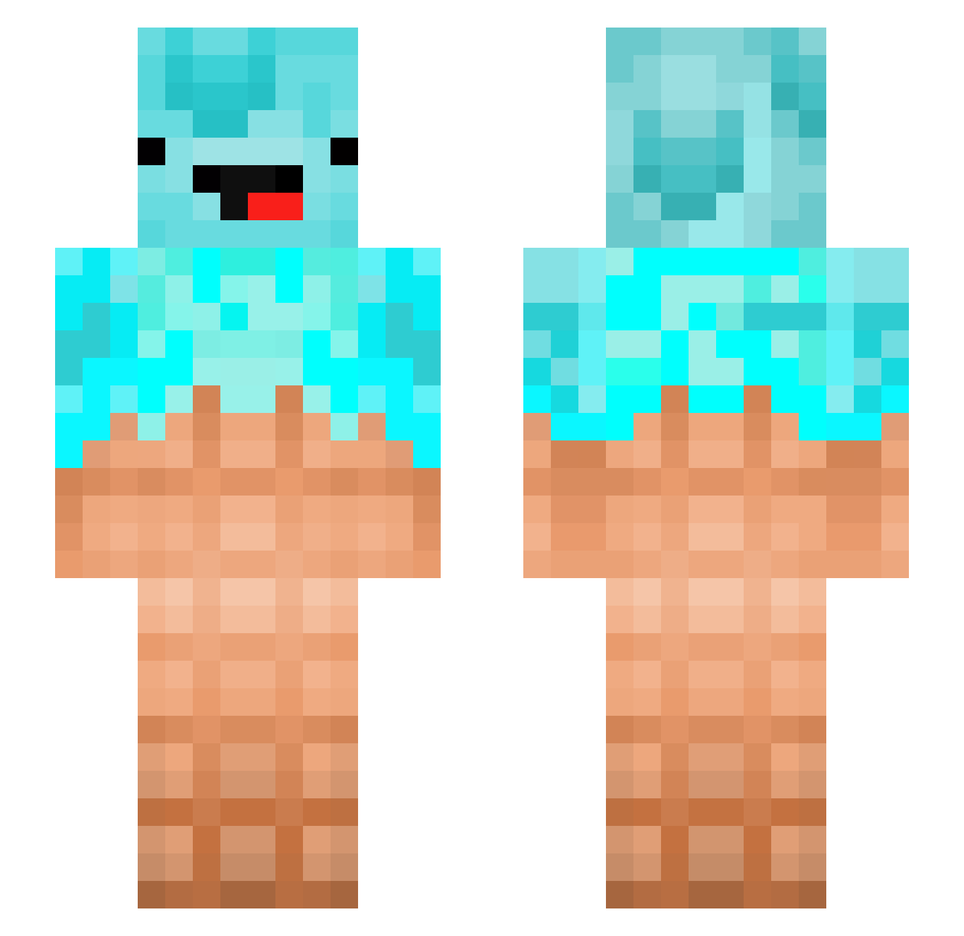 Aralie Minecraft skin, front and back view