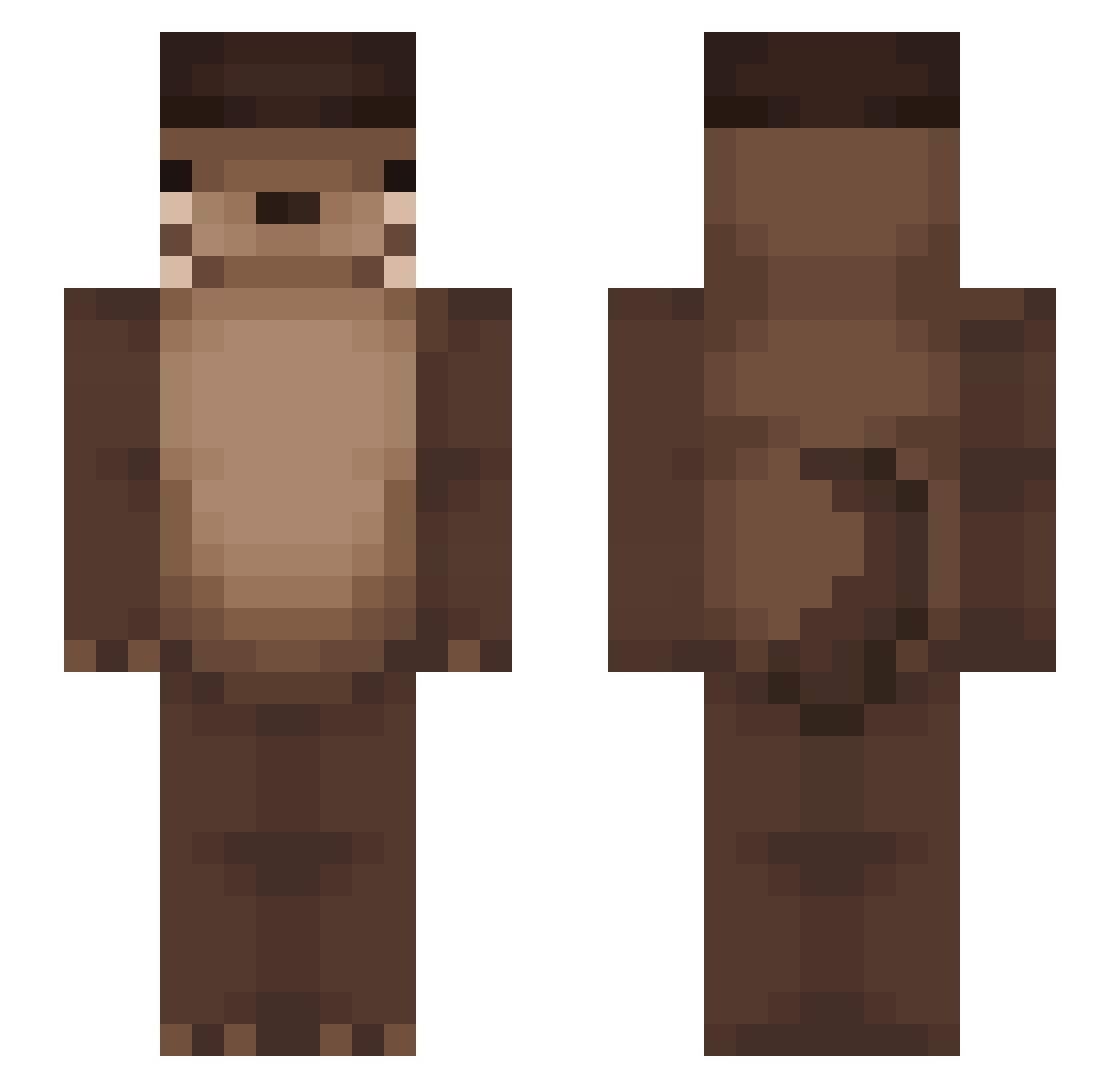 panskate Minecraft skin, front and back view