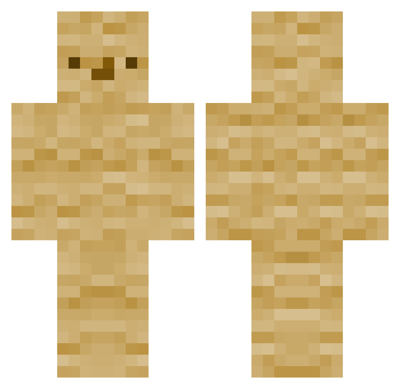 lemonydong Minecraft skin, front and back view
