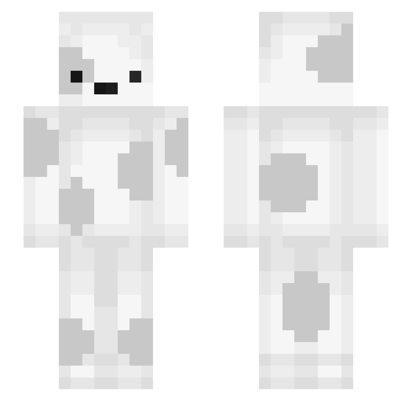 Tosstadas Minecraft skin, front and back view