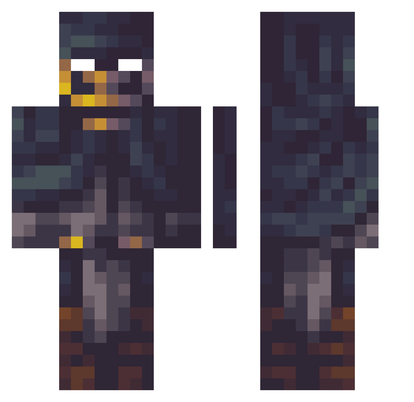 entity_505 Minecraft skin, front and back view