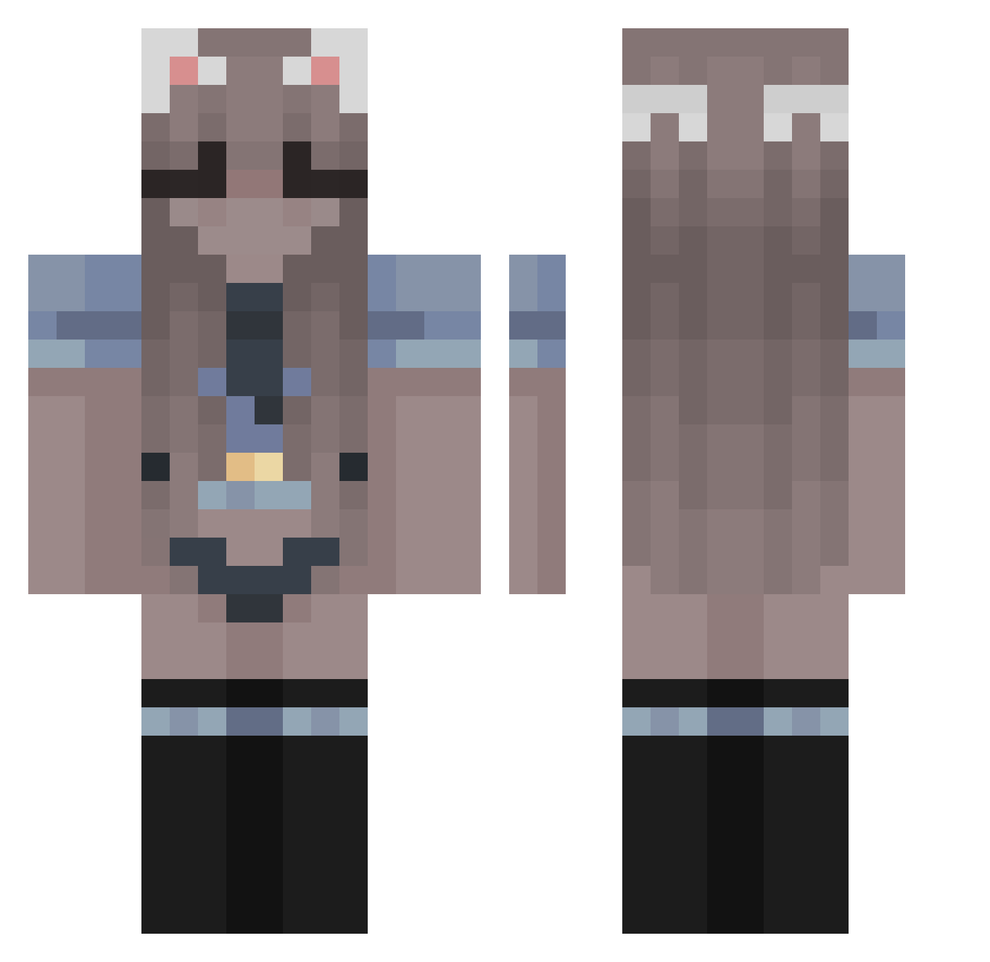 Paffseal Minecraft skin, front and back view