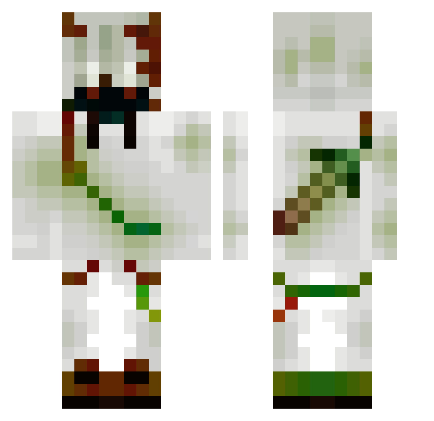 TryToTroll Minecraft skin, front and back view