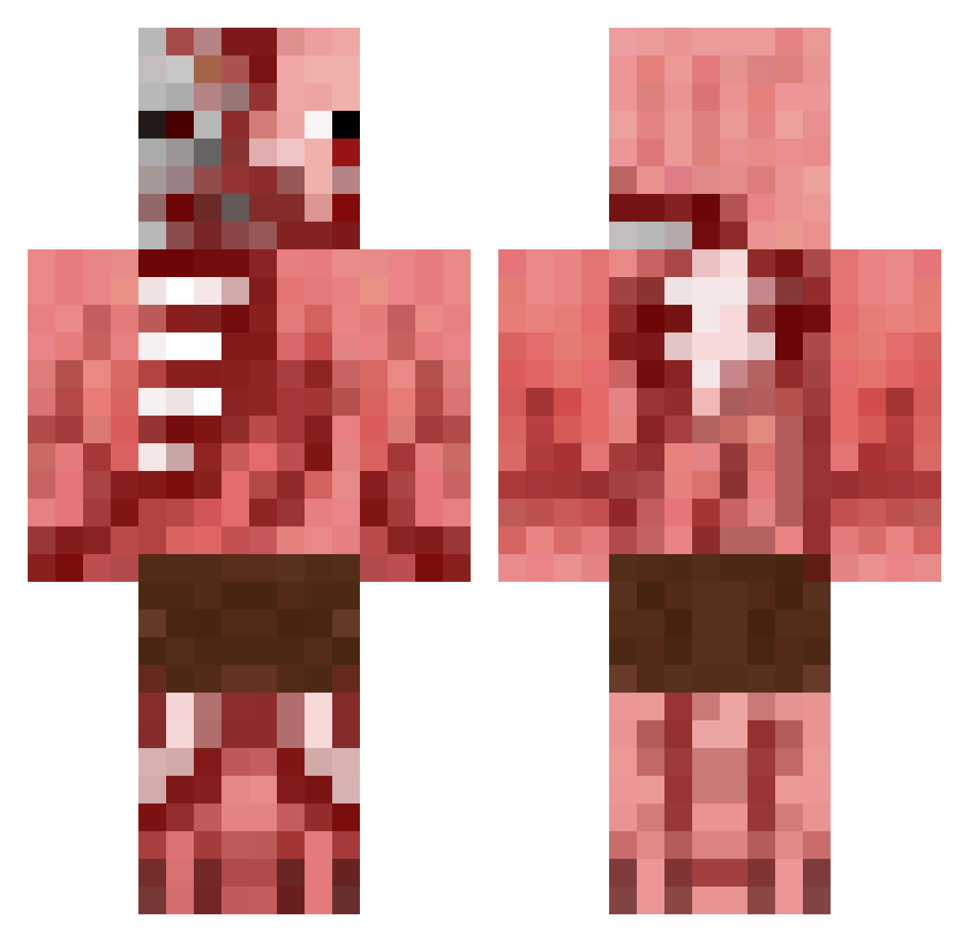 Brin Minecraft skin, front and back view