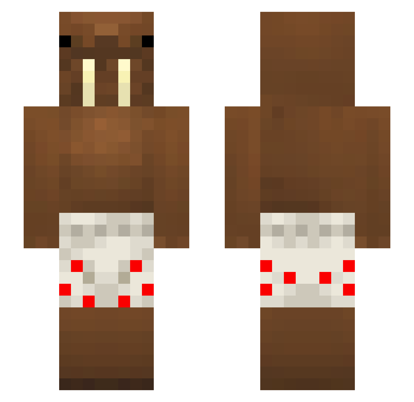 TS_20010 Minecraft skin, front and back view