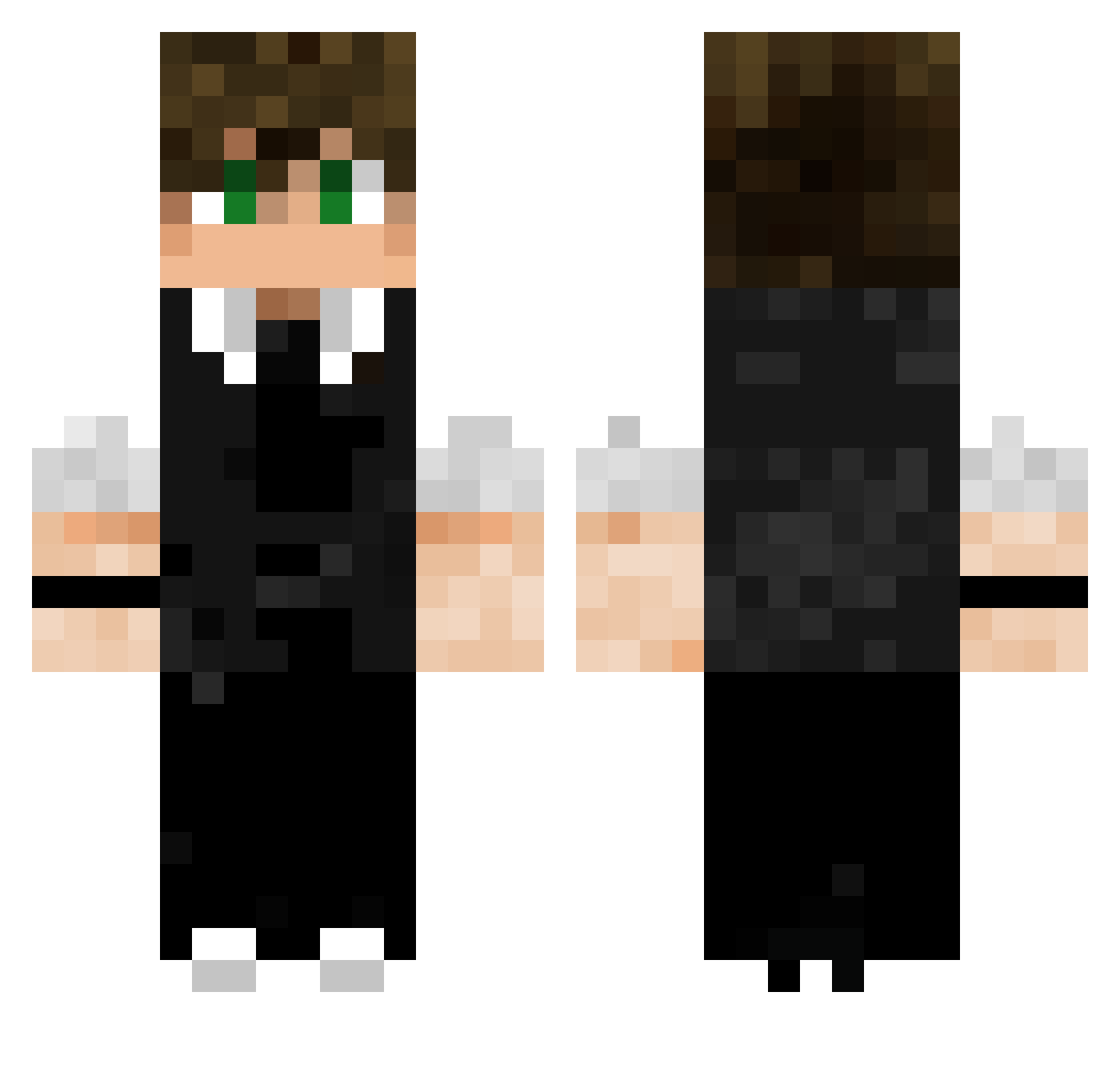 ToxicWeb Minecraft skin, front and back view