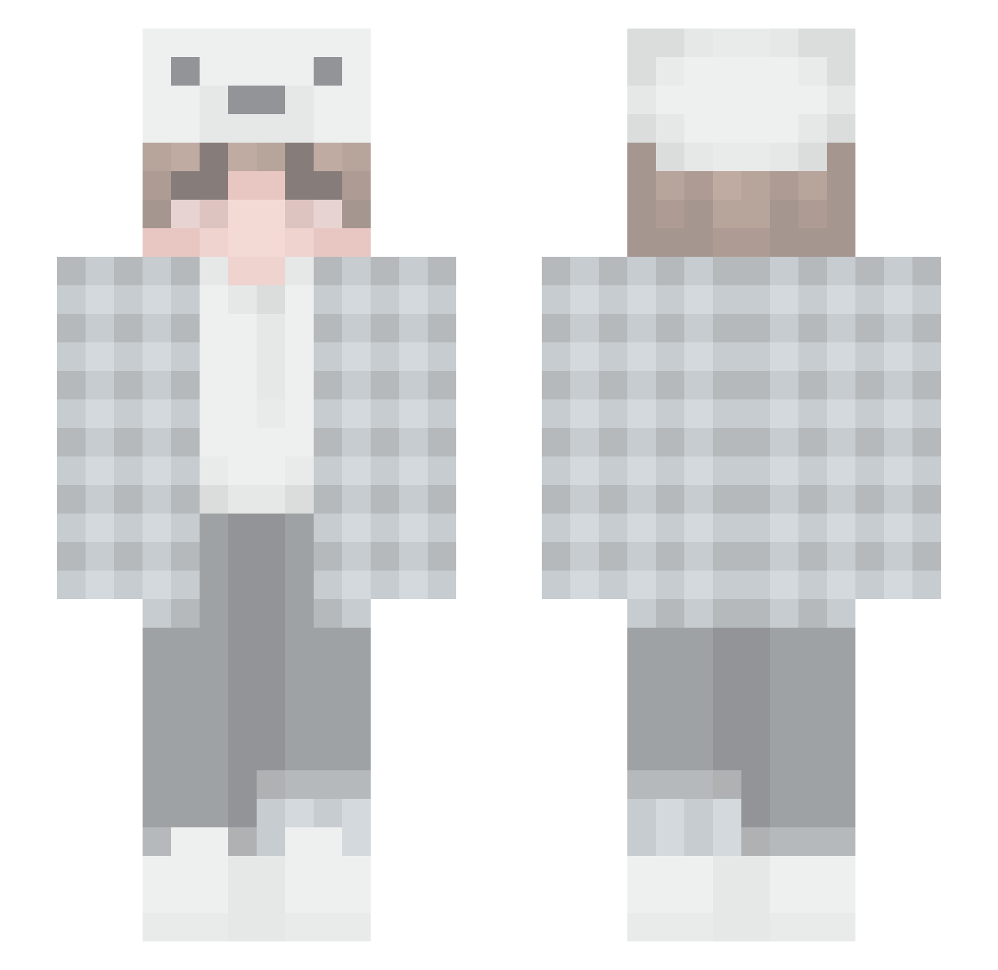 Z3ANI Minecraft skin, front and back view