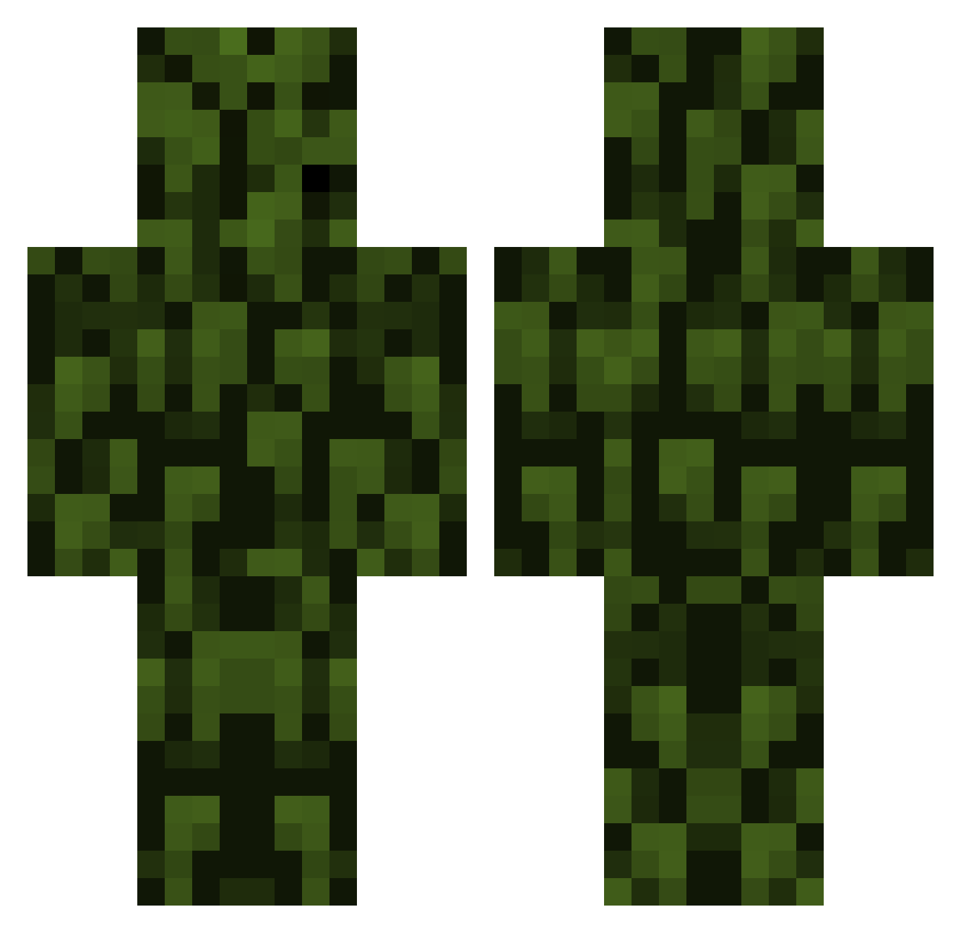Zblackinggg Minecraft skin, front and back view