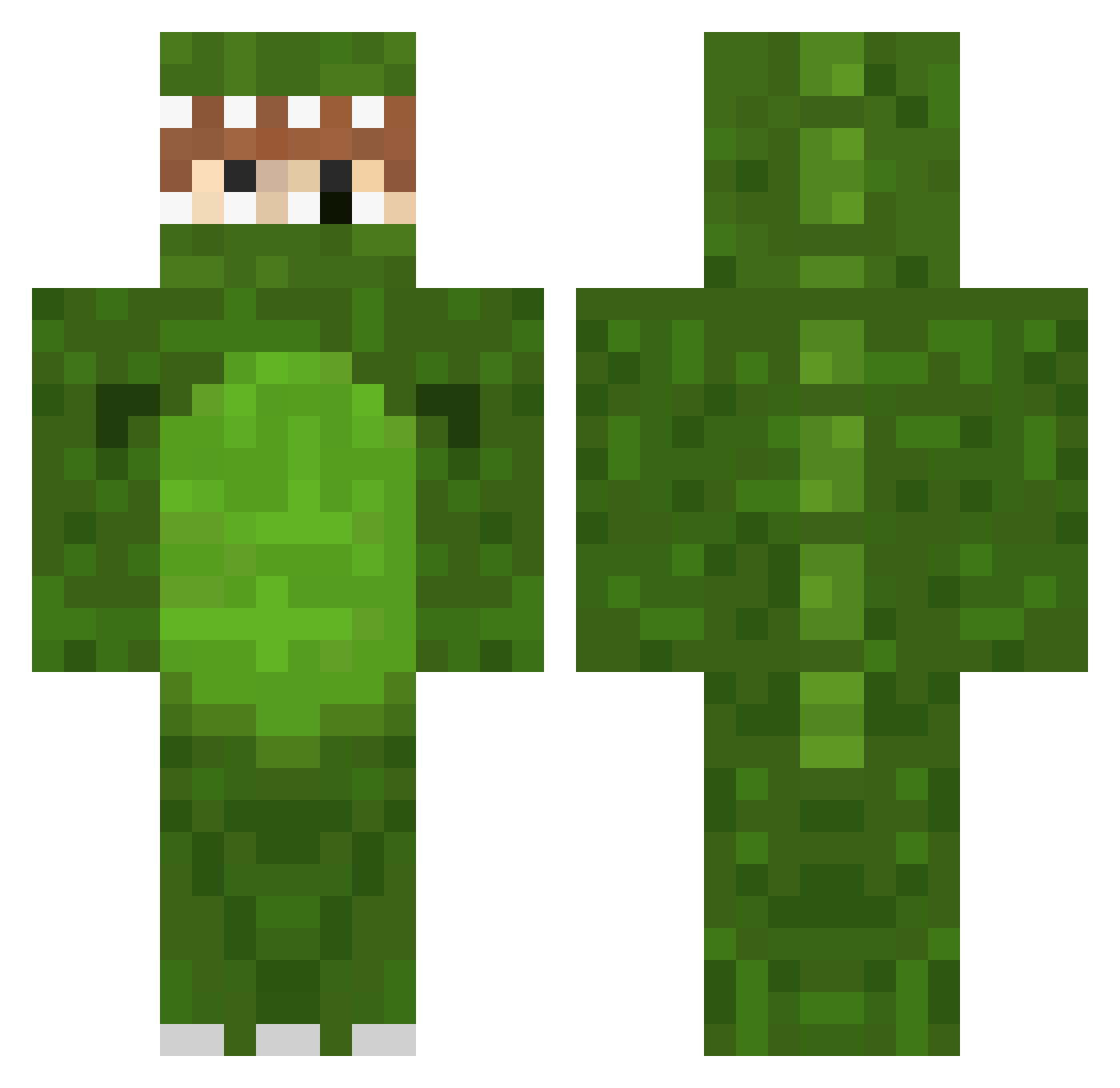 eLost Minecraft skin, front and back view