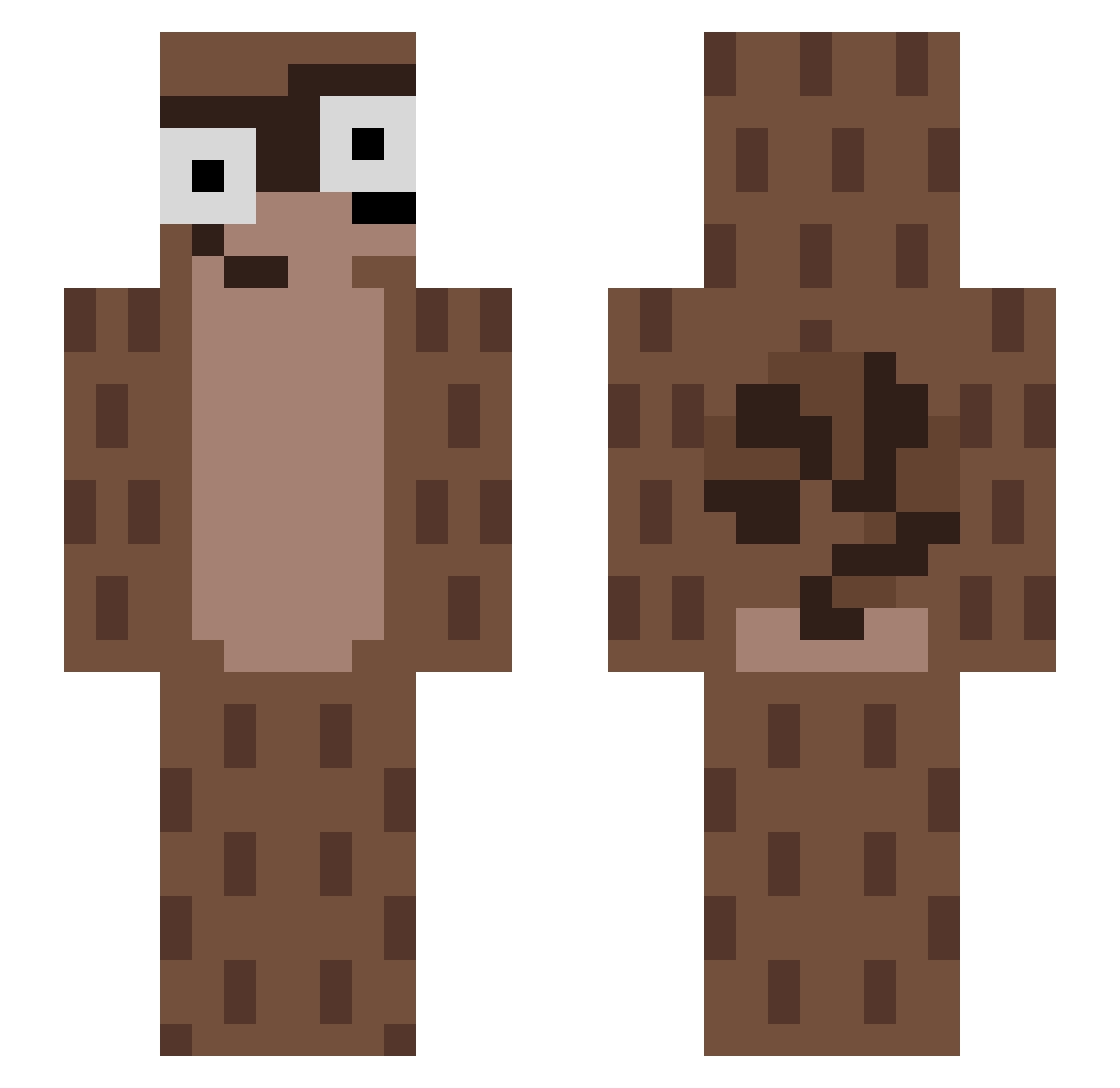 ErysonNB Minecraft skin, front and back view