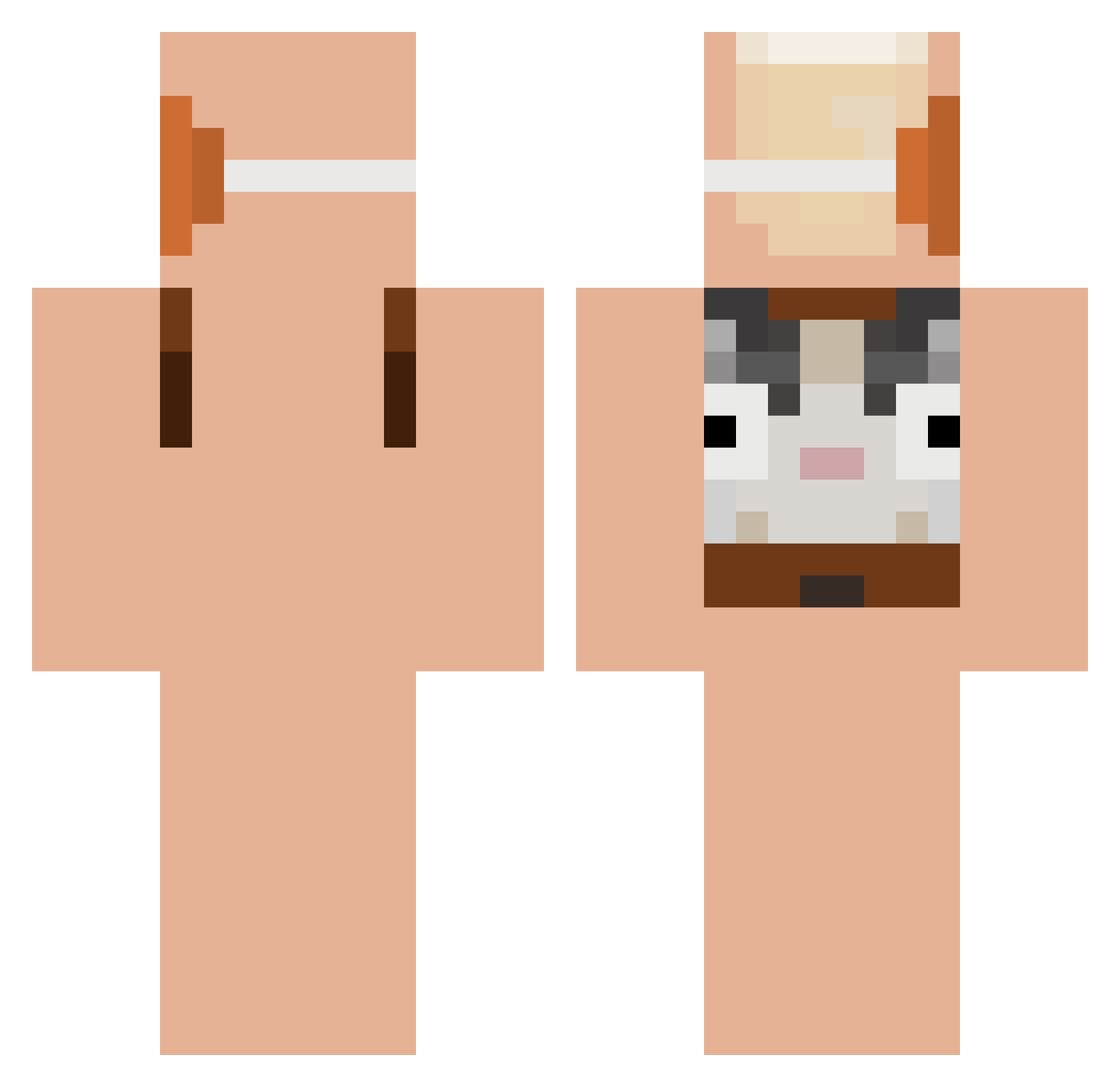 stormdobrazil Minecraft skin, front and back view