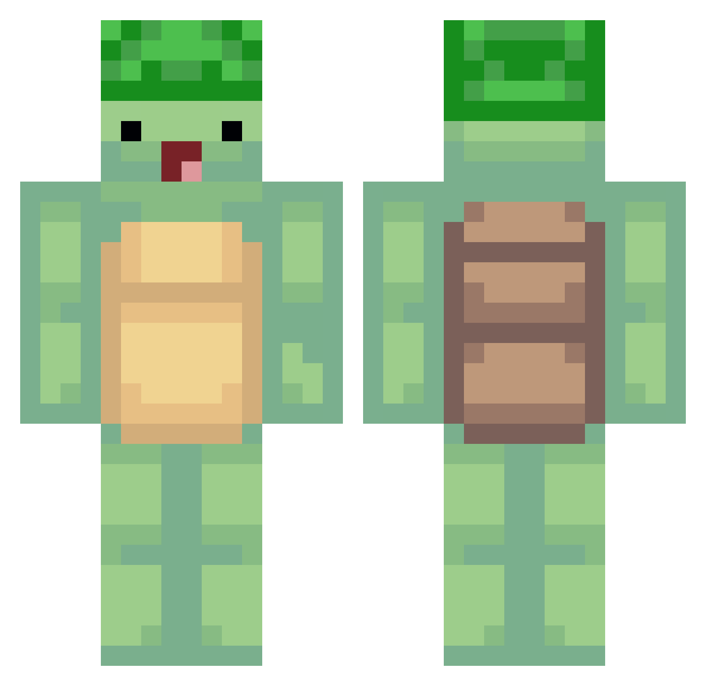 soratobu_kame Minecraft skin, front and back view
