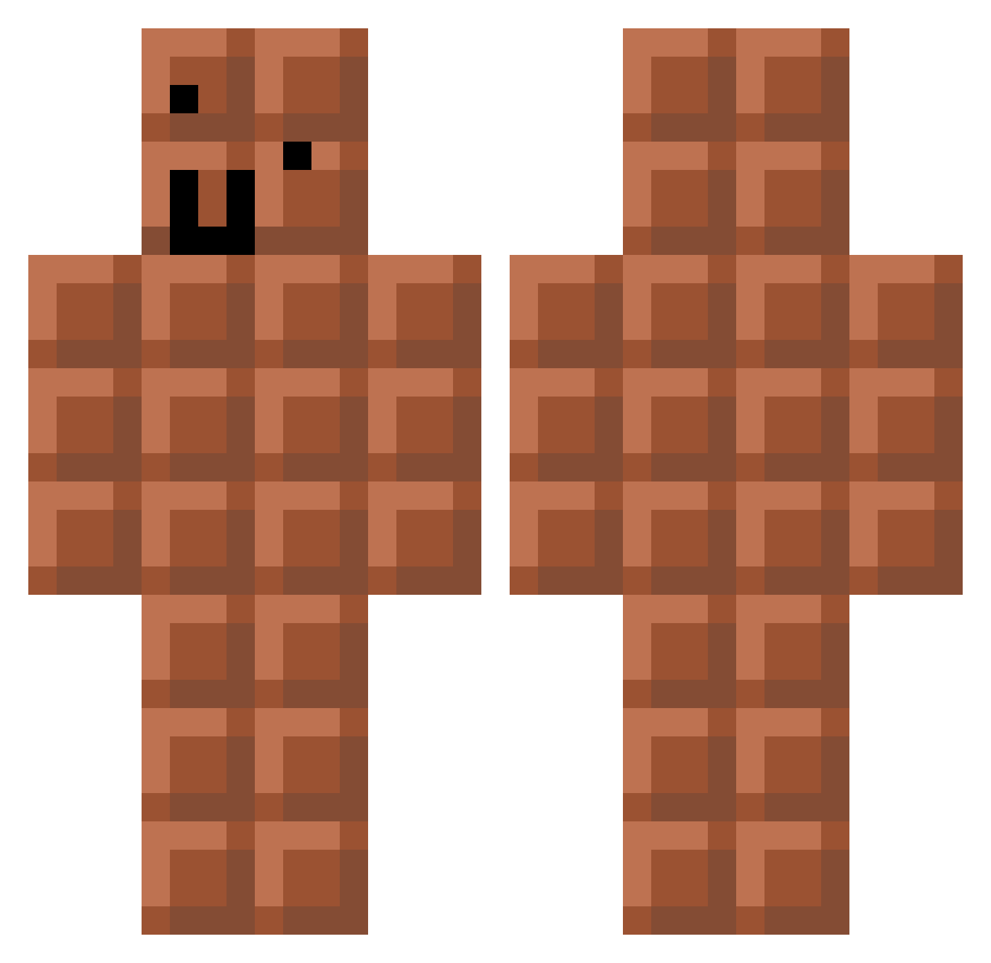 sam11122550 Minecraft skin, front and back view