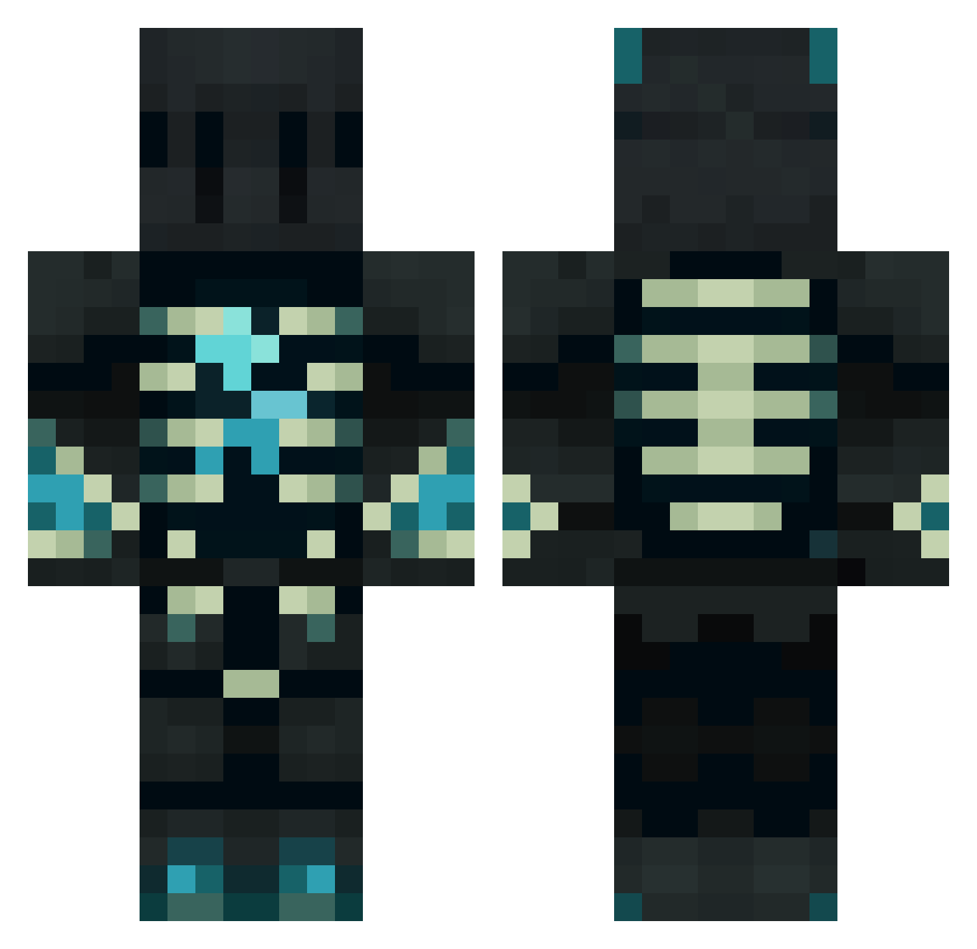pp0larize Minecraft skin, front and back view