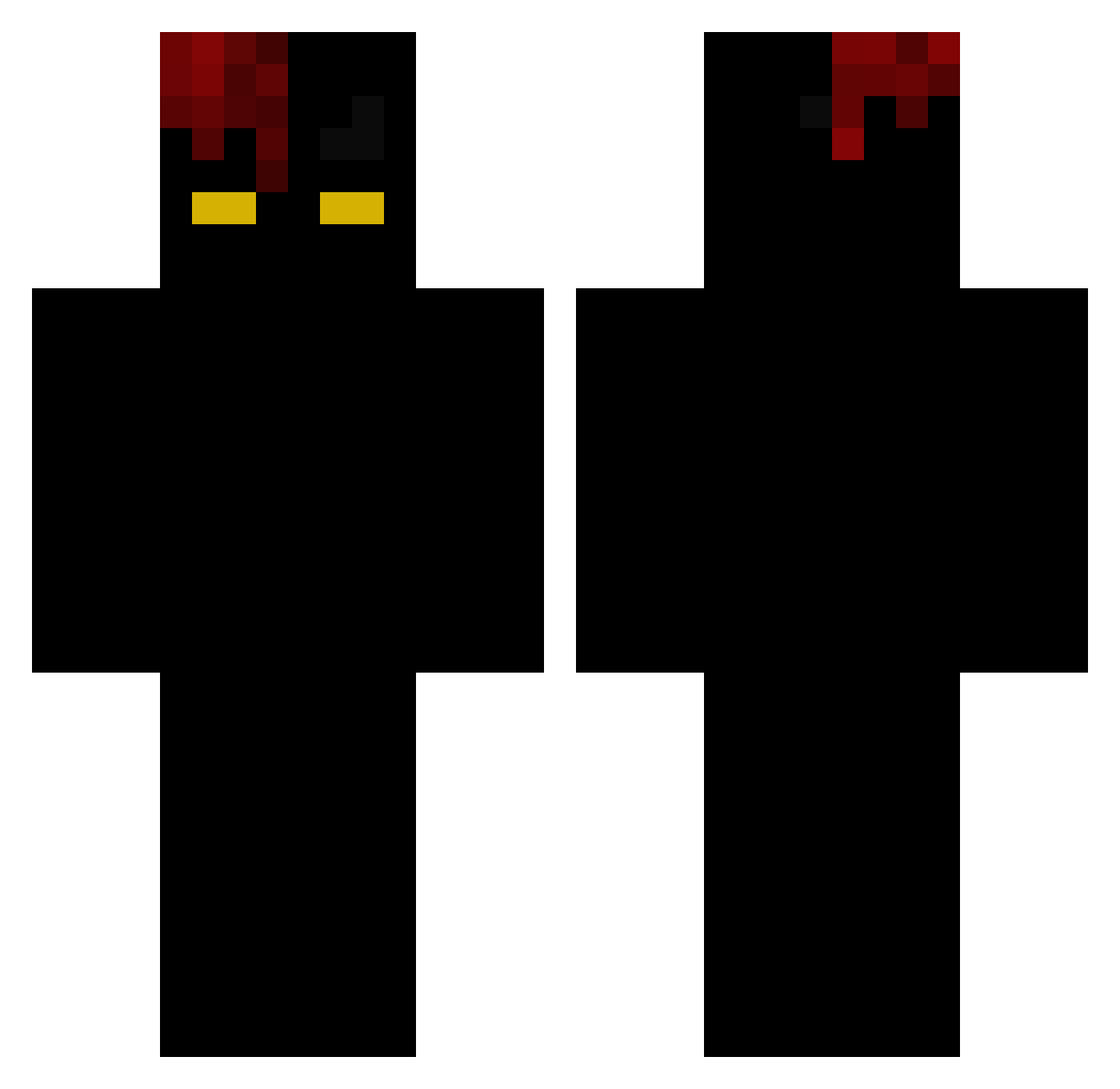 protestes Minecraft skin, front and back view