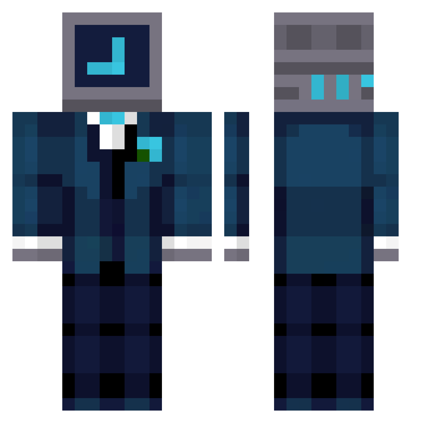 vascularization Minecraft skin, front and back view