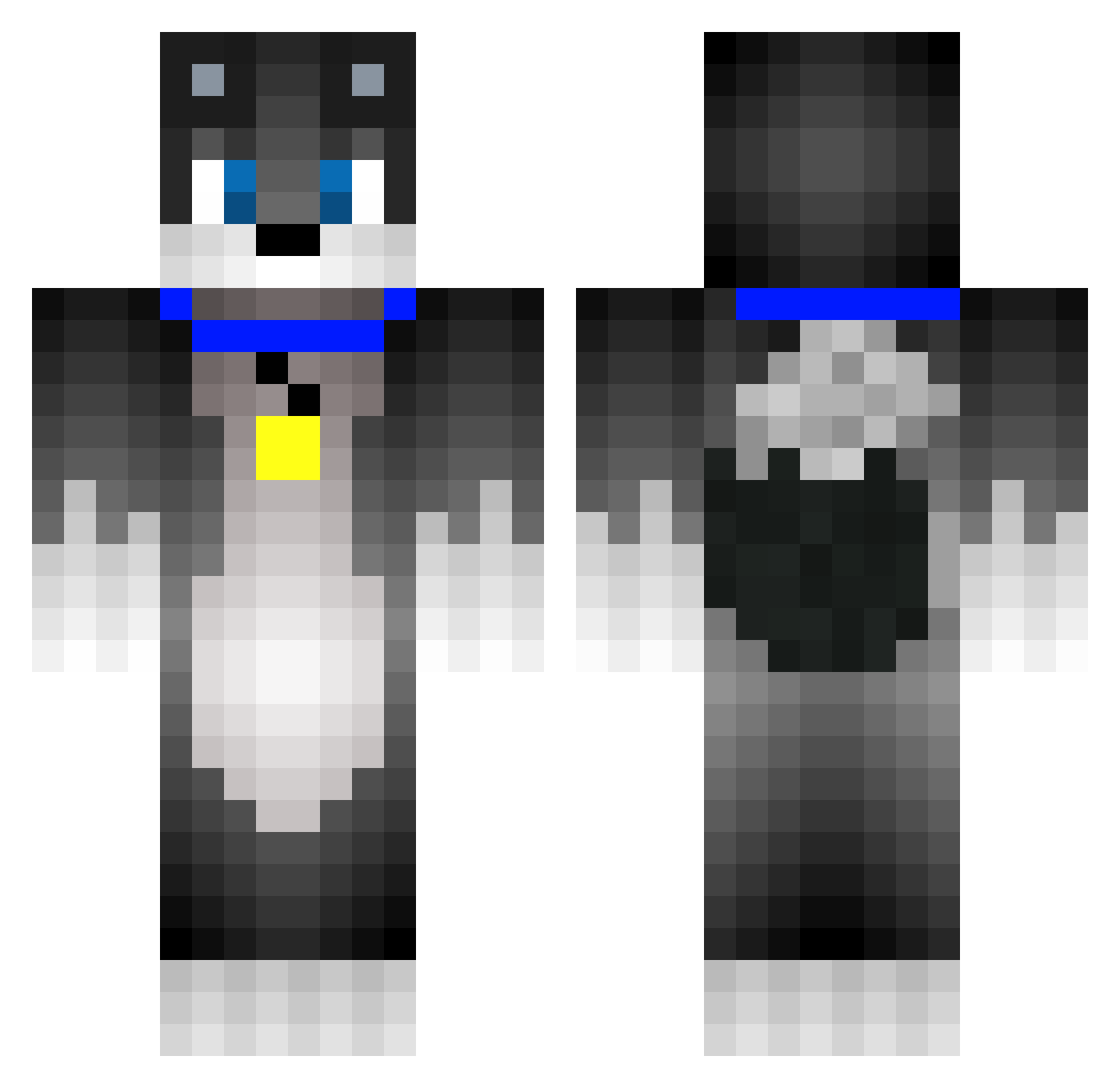 169193131 Minecraft skin, front and back view
