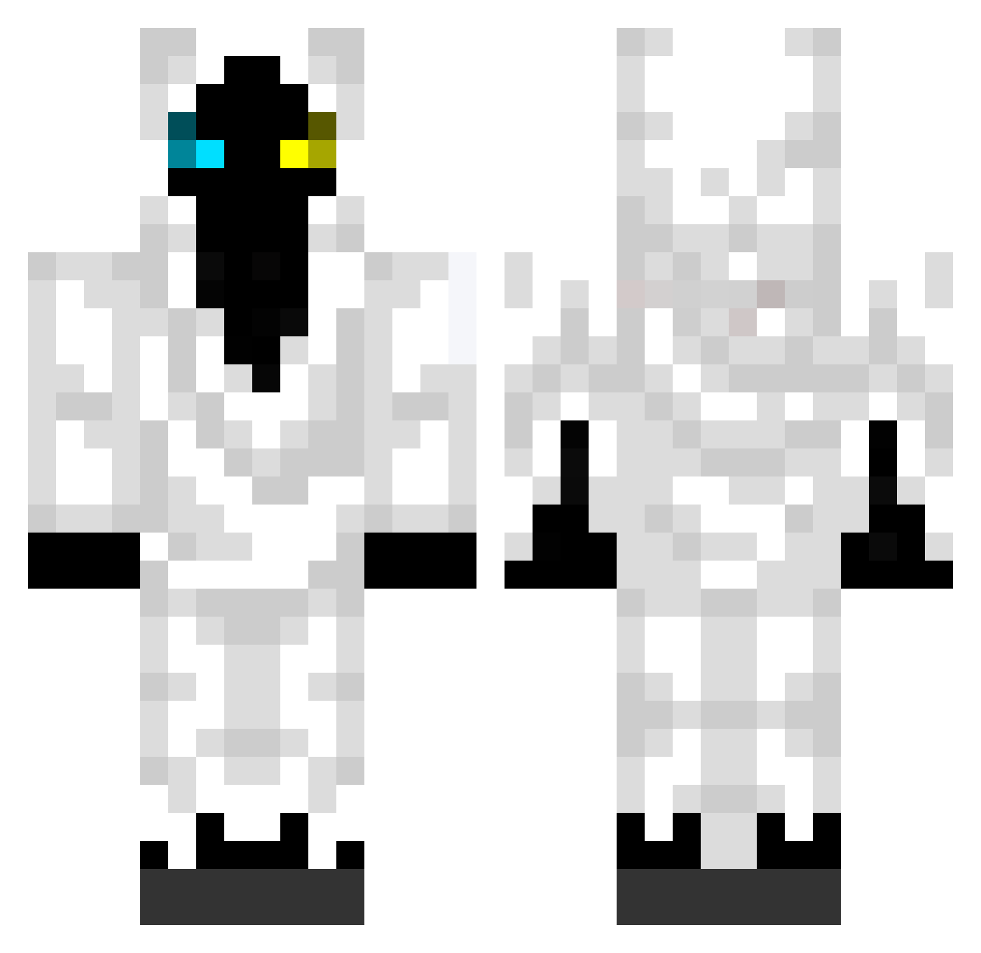 Porter313499 Minecraft skin, front and back view