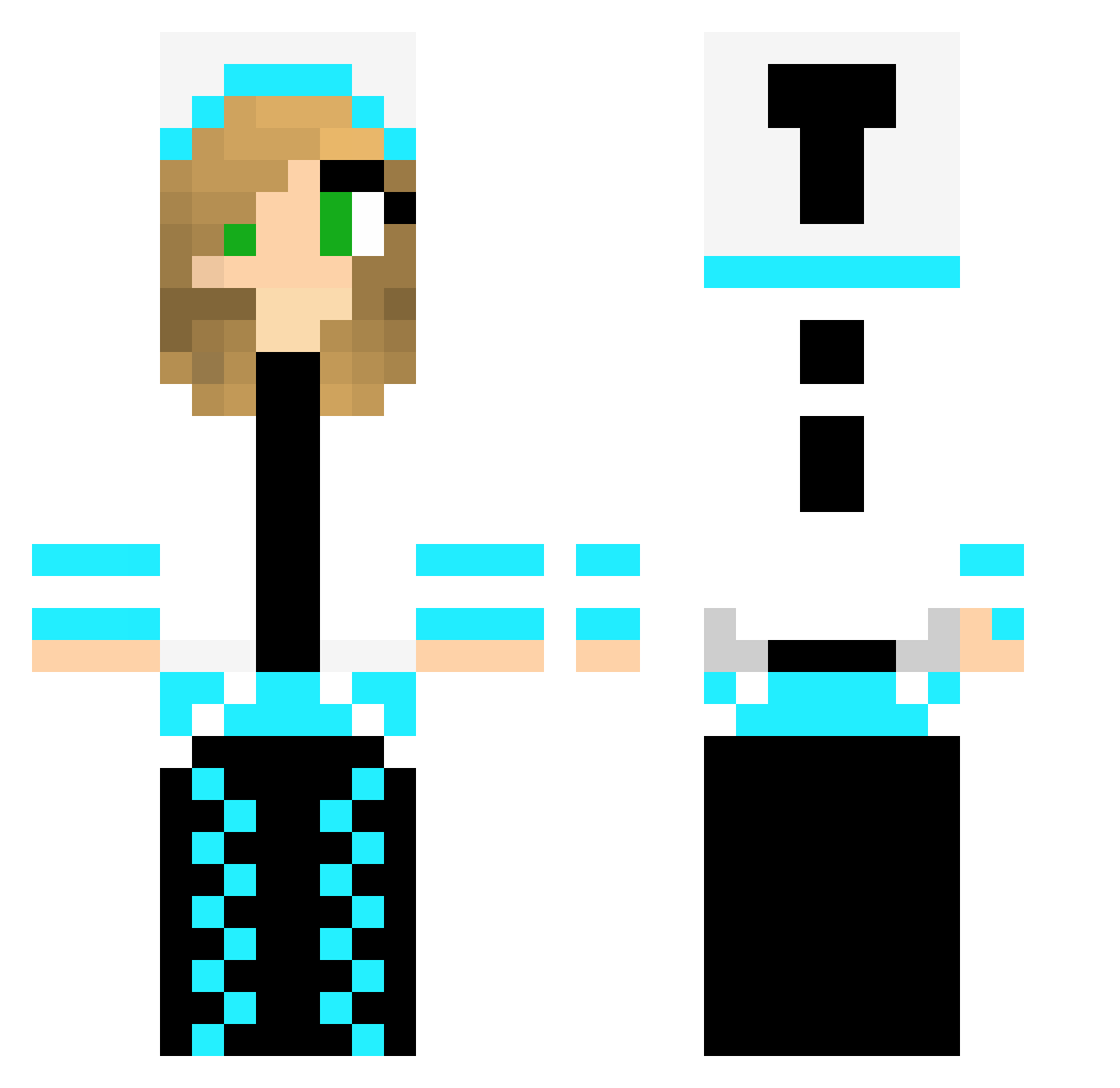 Tinive Minecraft skin, front and back view