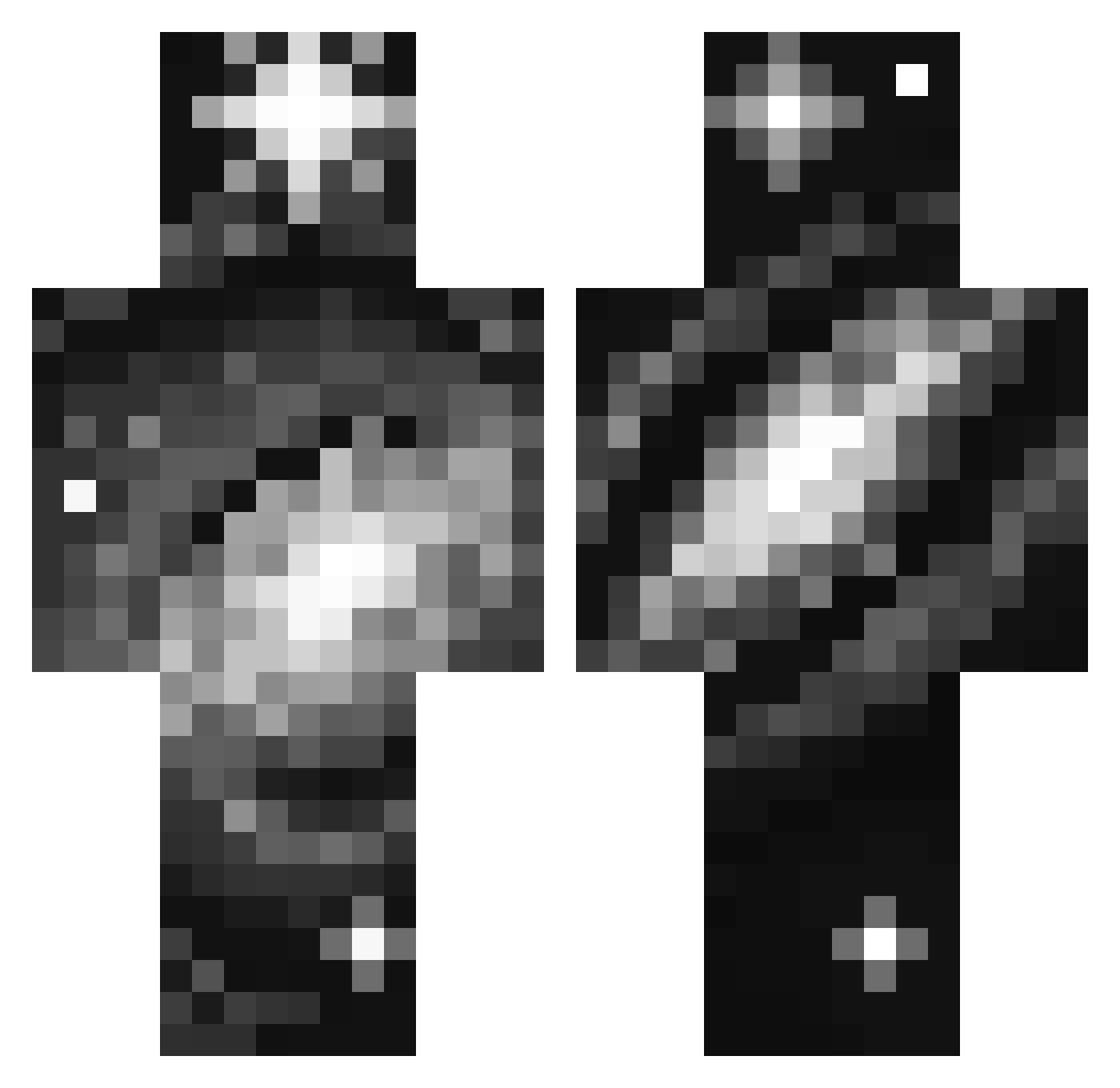 19lbs Minecraft skin, front and back view