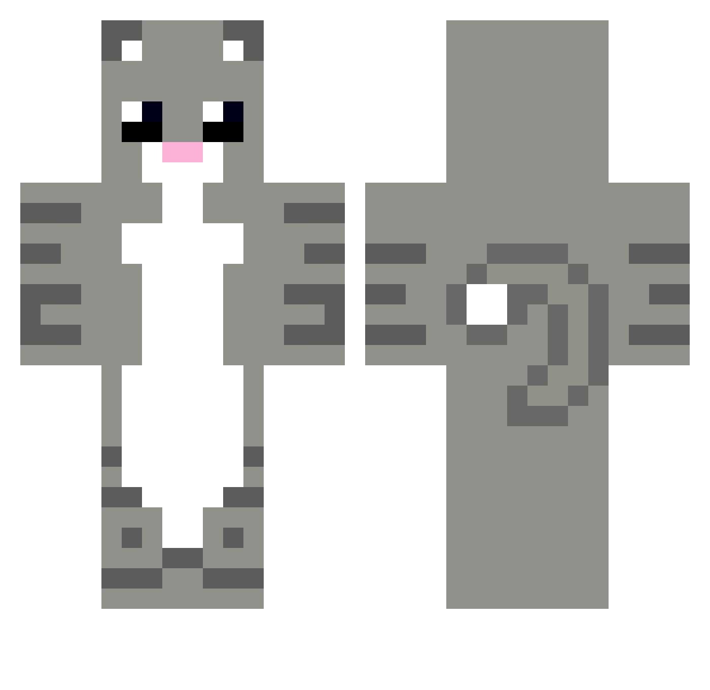 Castillio Minecraft skin, front and back view